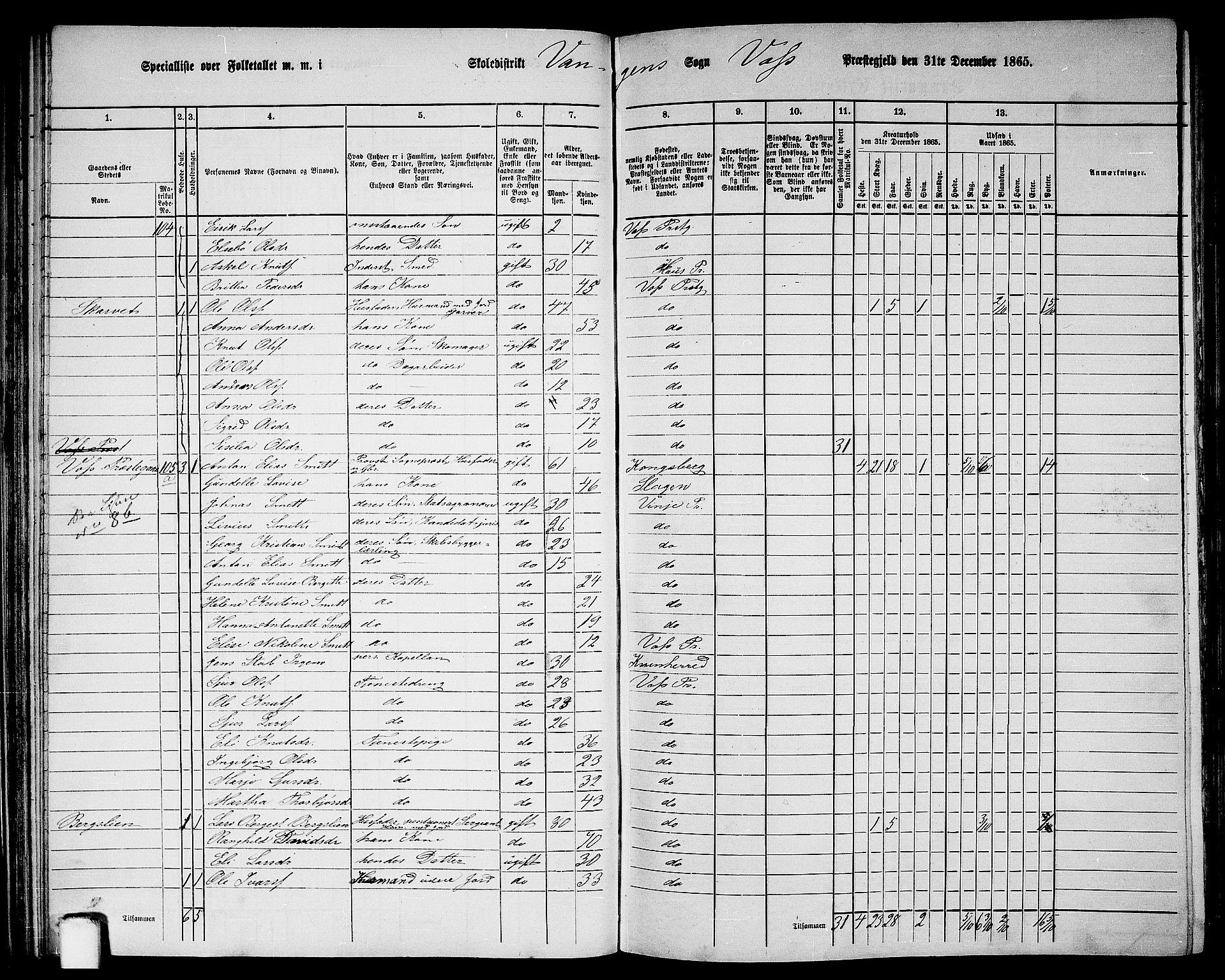 RA, 1865 census for Voss, 1865, p. 54