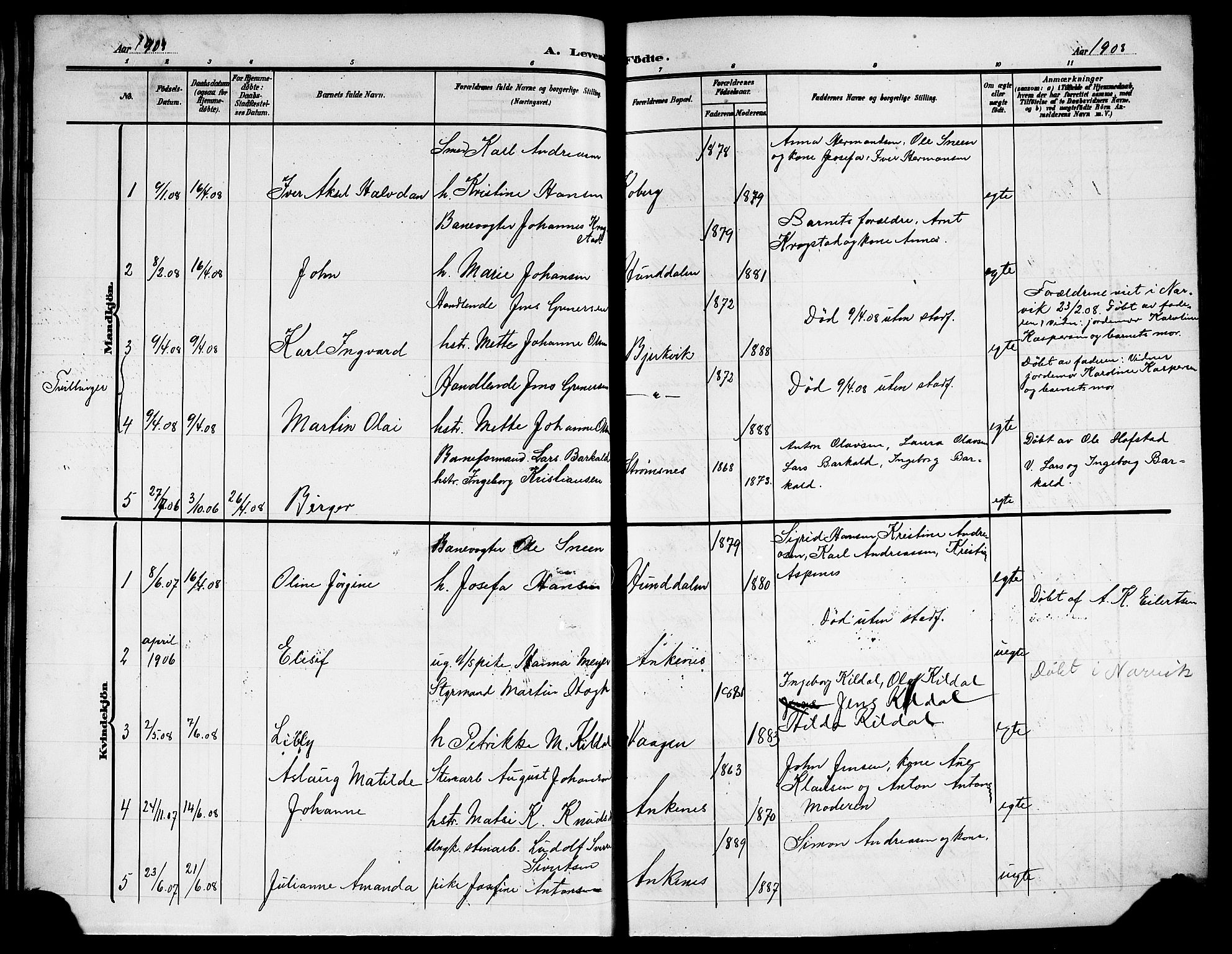 Ministerialprotokoller, klokkerbøker og fødselsregistre - Nordland, AV/SAT-A-1459/866/L0954: Parish register (copy) no. 866C03, 1905-1923