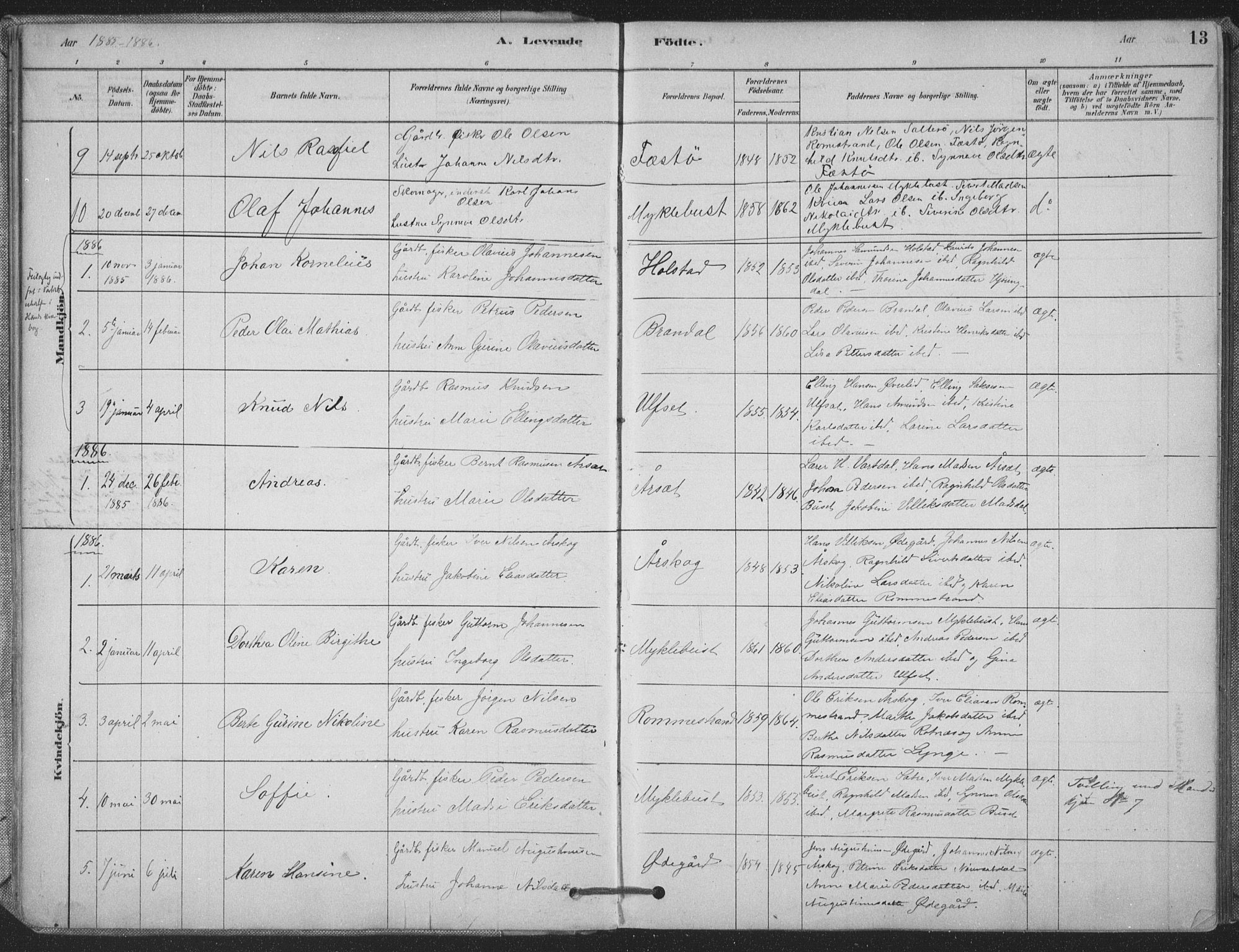 Ministerialprotokoller, klokkerbøker og fødselsregistre - Møre og Romsdal, AV/SAT-A-1454/514/L0199: Parish register (official) no. 514A01, 1878-1912, p. 13