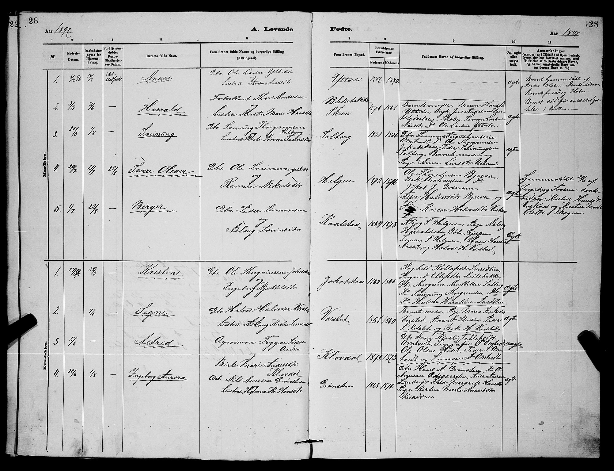 Holla kirkebøker, SAKO/A-272/G/Gb/L0001: Parish register (copy) no. II 1, 1882-1897, p. 28