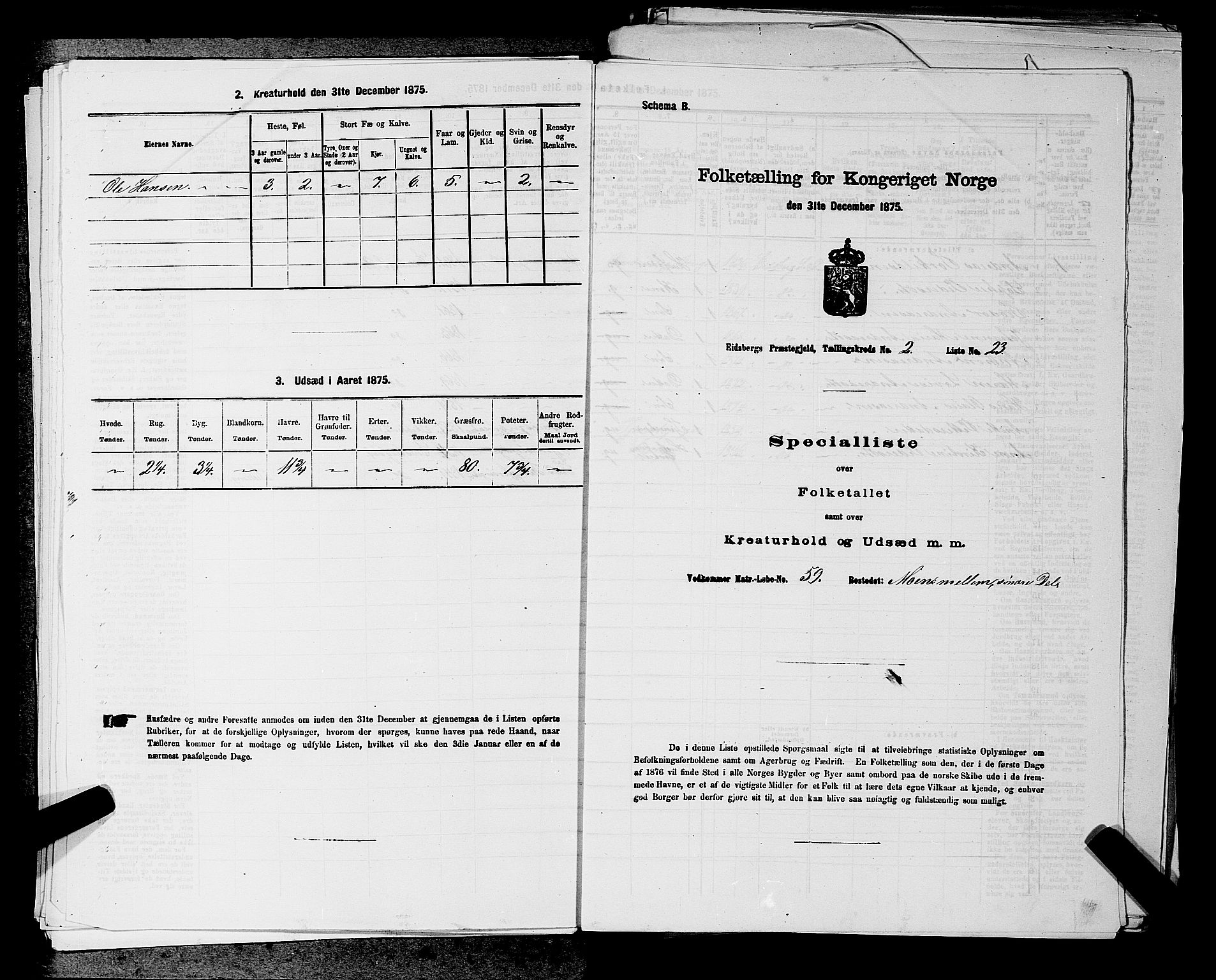 RA, 1875 census for 0125P Eidsberg, 1875, p. 405