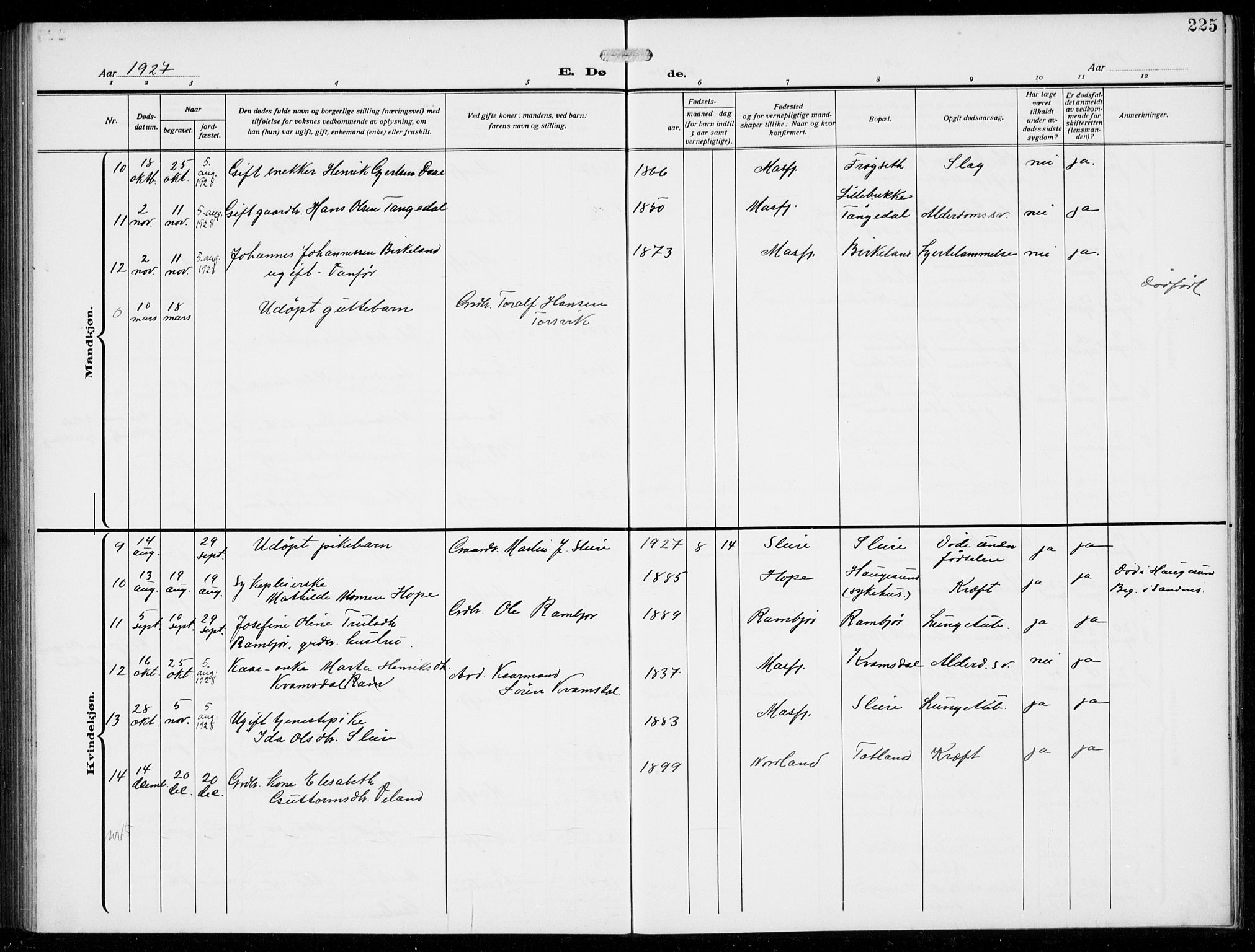 Masfjorden sokneprestembete, AV/SAB-A-77001: Parish register (copy) no. B  2, 1912-1939, p. 225