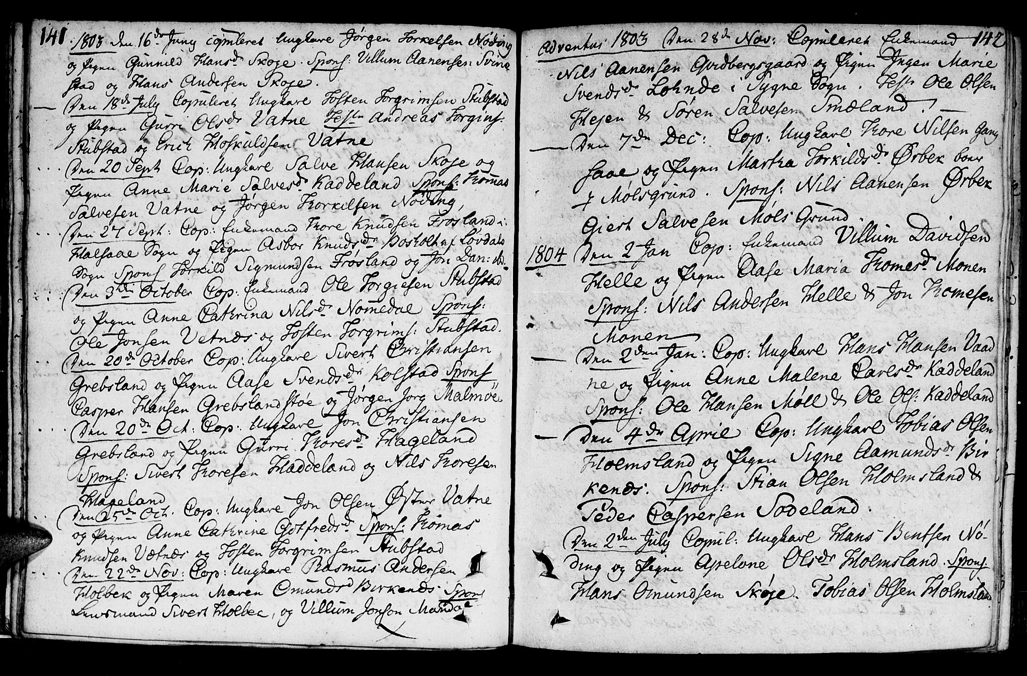 Holum sokneprestkontor, SAK/1111-0022/F/Fa/Faa/L0003: Parish register (official) no. A 3, 1780-1821, p. 141-142