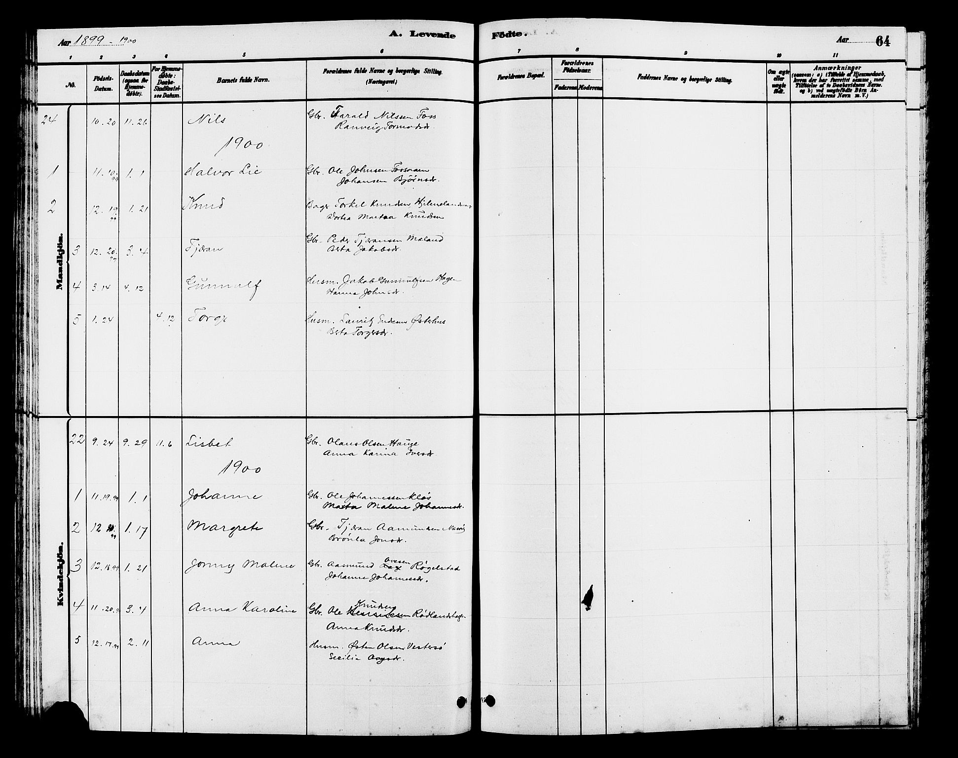 Hjelmeland sokneprestkontor, SAST/A-101843/01/V/L0007: Parish register (copy) no. B 7, 1880-1909, p. 64