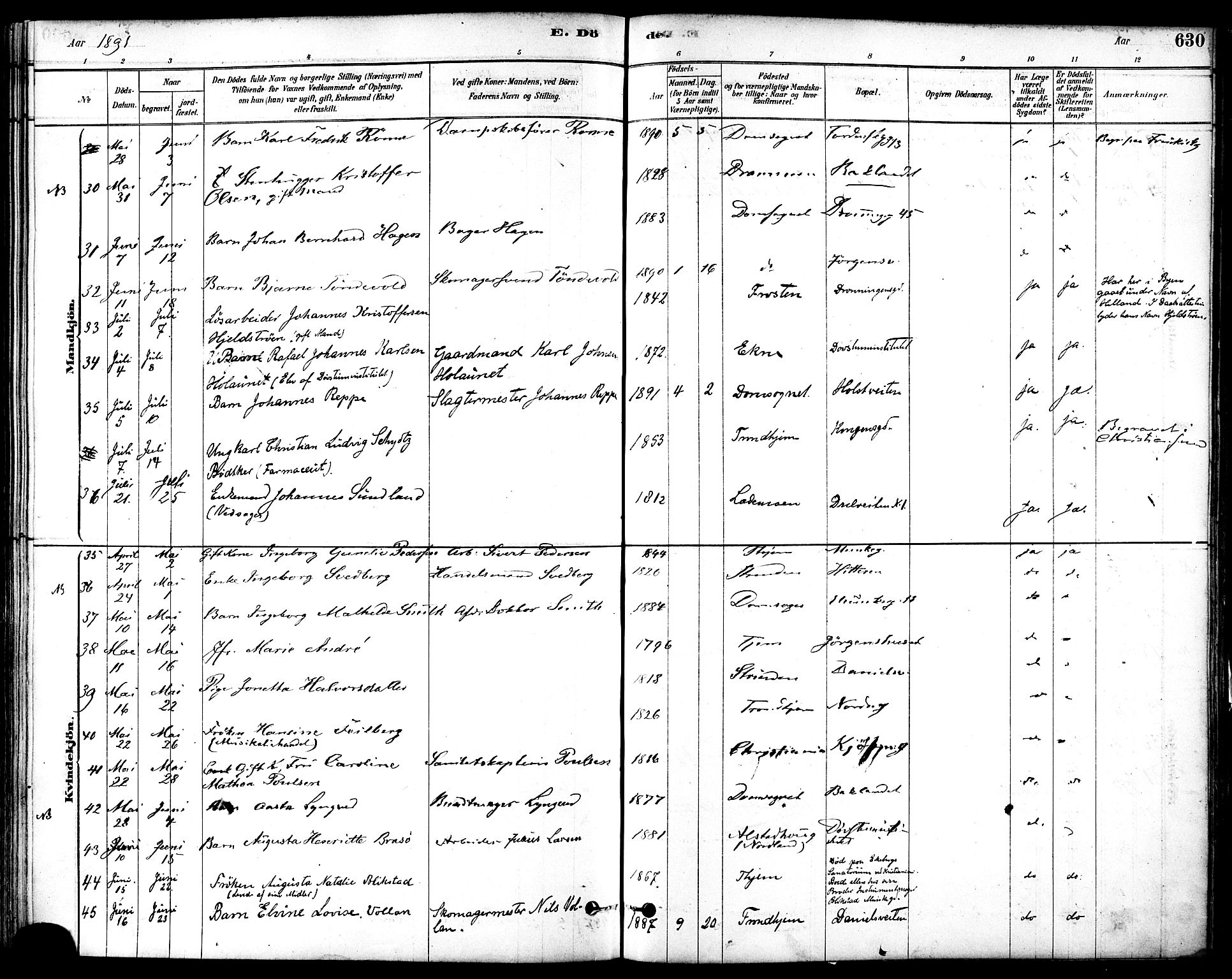 Ministerialprotokoller, klokkerbøker og fødselsregistre - Sør-Trøndelag, AV/SAT-A-1456/601/L0058: Parish register (official) no. 601A26, 1877-1891, p. 630