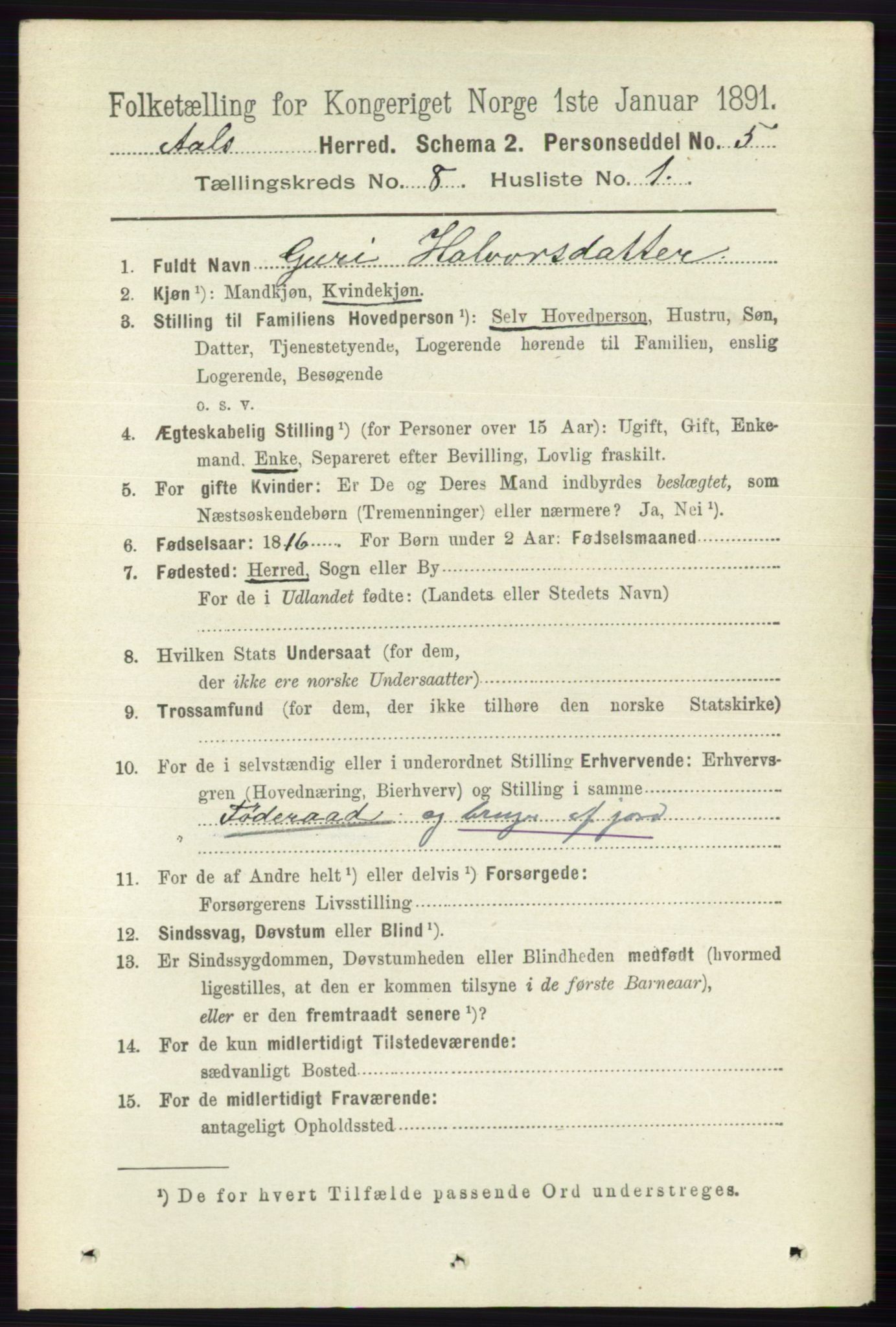 RA, 1891 census for 0619 Ål, 1891, p. 2097