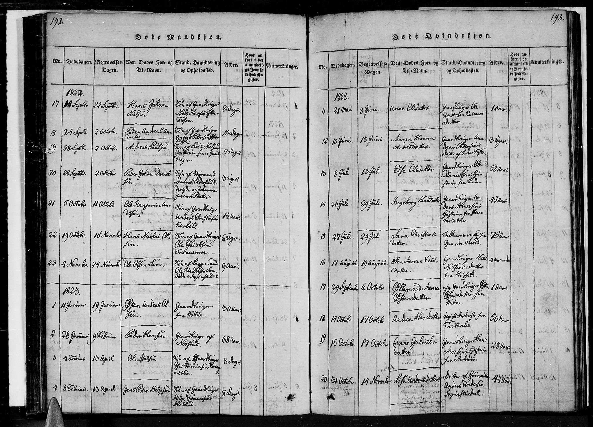 Ministerialprotokoller, klokkerbøker og fødselsregistre - Nordland, SAT/A-1459/852/L0736: Parish register (official) no. 852A06, 1820-1833, p. 192-193