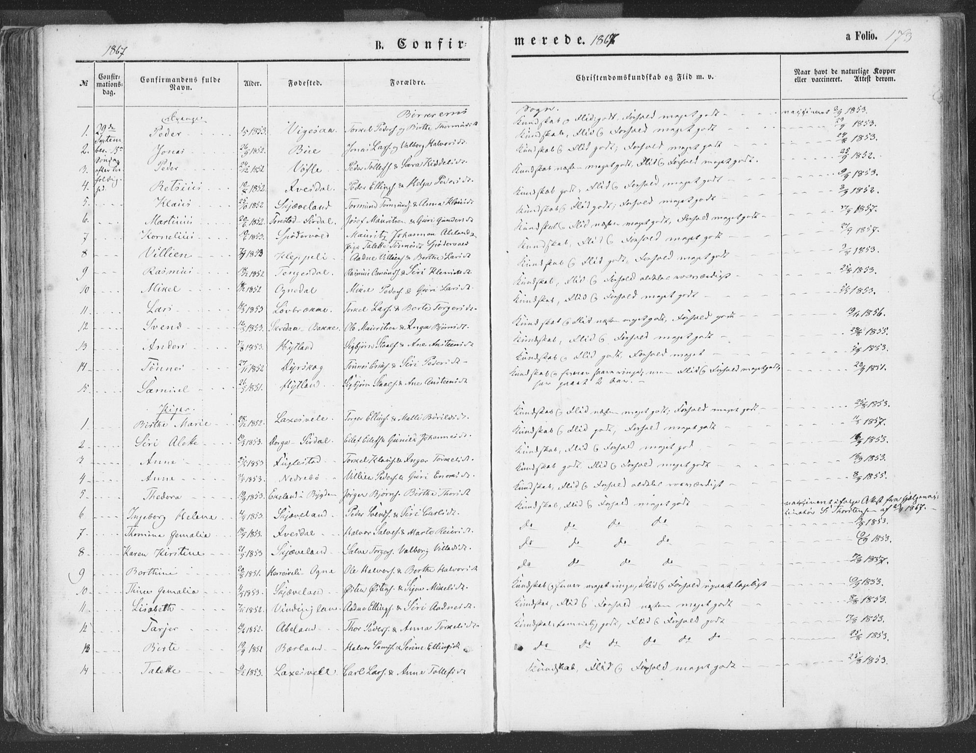 Helleland sokneprestkontor, SAST/A-101810: Parish register (official) no. A 7.1, 1863-1886, p. 173