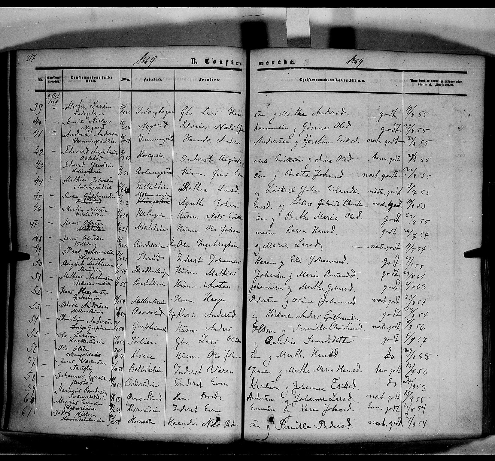 Nes prestekontor, Hedmark, AV/SAH-PREST-020/K/Ka/L0004: Parish register (official) no. 4, 1852-1886, p. 217