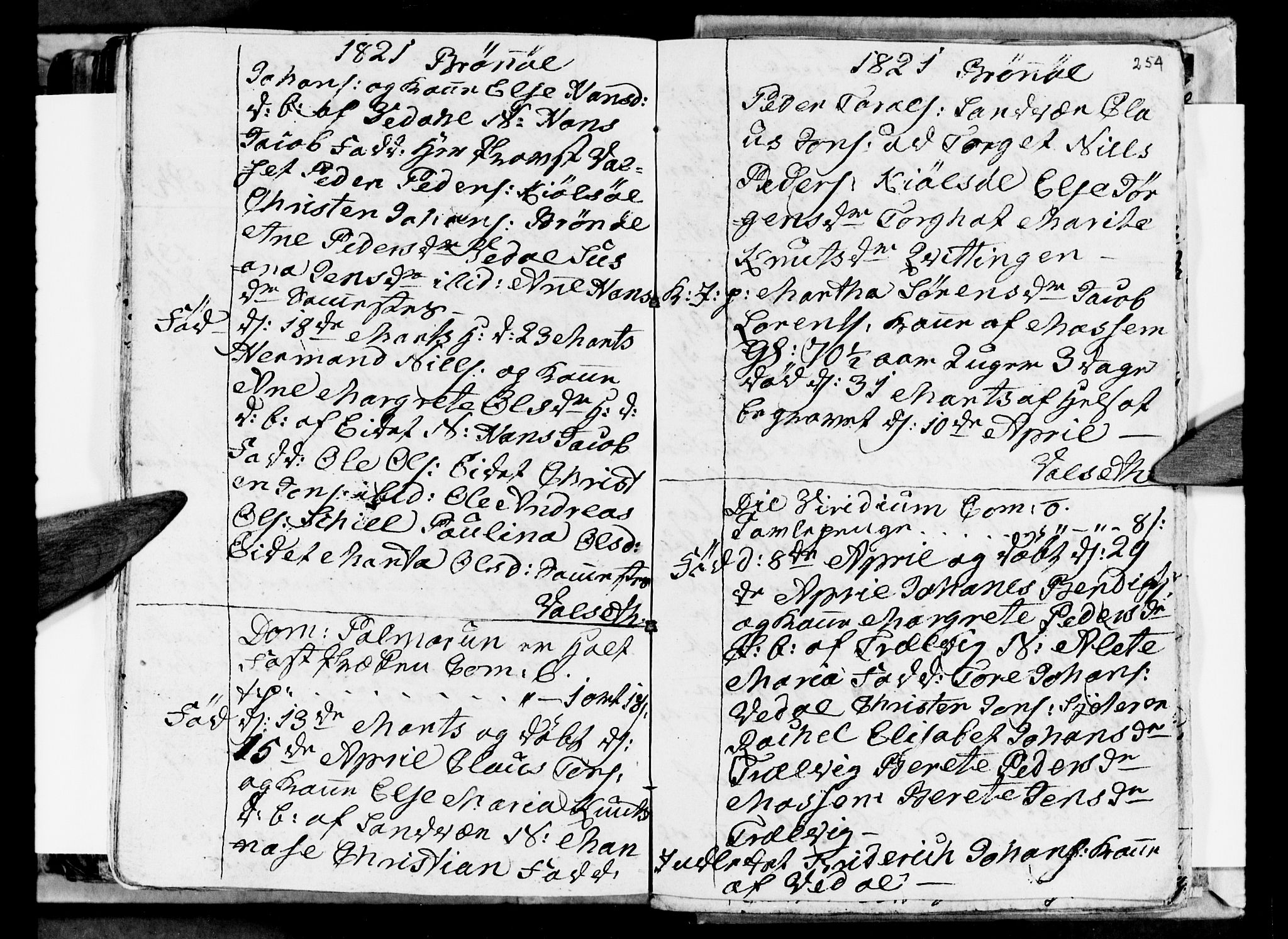 Ministerialprotokoller, klokkerbøker og fødselsregistre - Nordland, AV/SAT-A-1459/813/L0209: Parish register (copy) no. 813C01, 1803-1821, p. 254