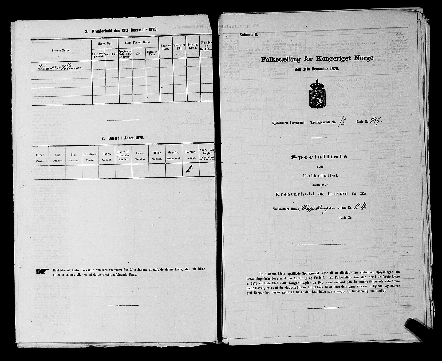 SAKO, 1875 census for 0805P Porsgrunn, 1875, p. 570