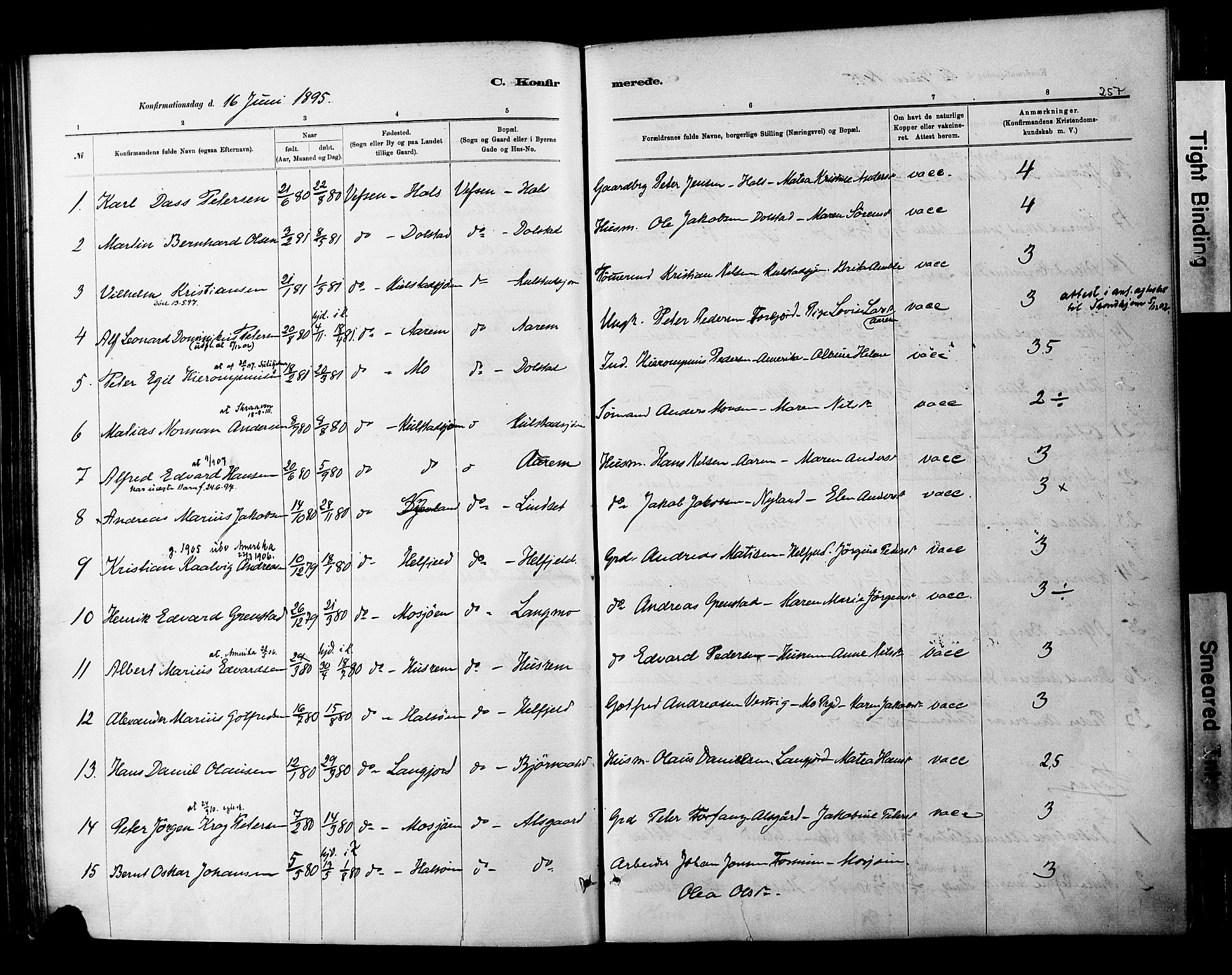Ministerialprotokoller, klokkerbøker og fødselsregistre - Nordland, SAT/A-1459/820/L0295: Parish register (official) no. 820A16, 1880-1896, p. 257