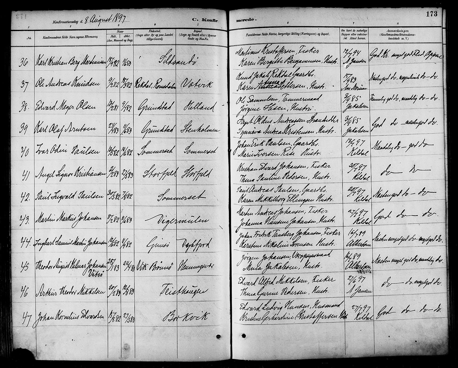 Ministerialprotokoller, klokkerbøker og fødselsregistre - Nordland, SAT/A-1459/874/L1060: Parish register (official) no. 874A04, 1890-1899, p. 173