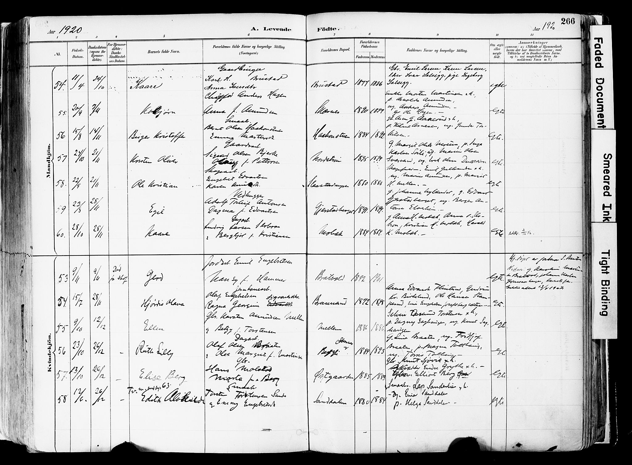 Sør-Odal prestekontor, AV/SAH-PREST-030/H/Ha/Haa/L0006: Parish register (official) no. 6, 1886-1931, p. 266