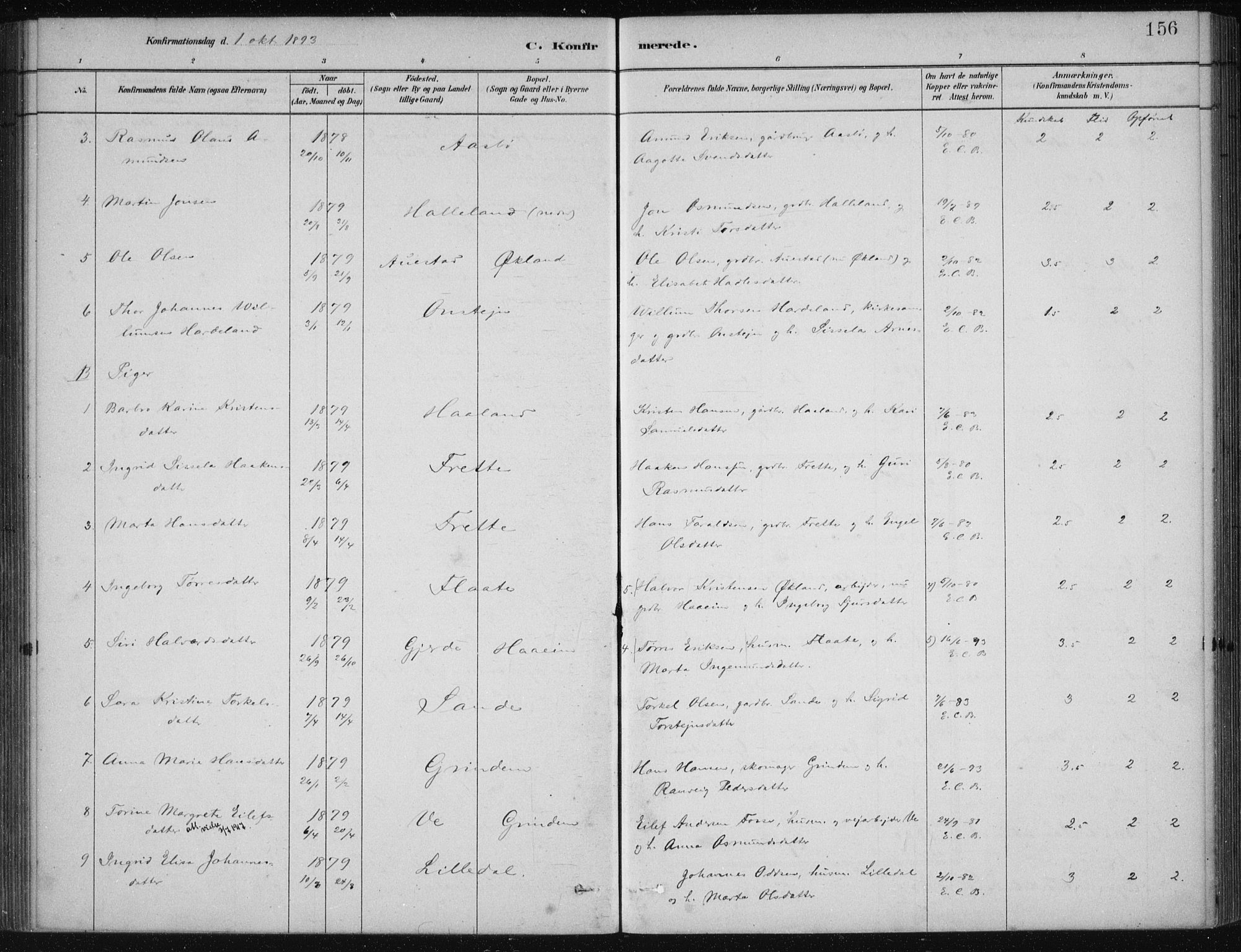 Etne sokneprestembete, AV/SAB-A-75001/H/Haa: Parish register (official) no. D  1, 1879-1919, p. 156