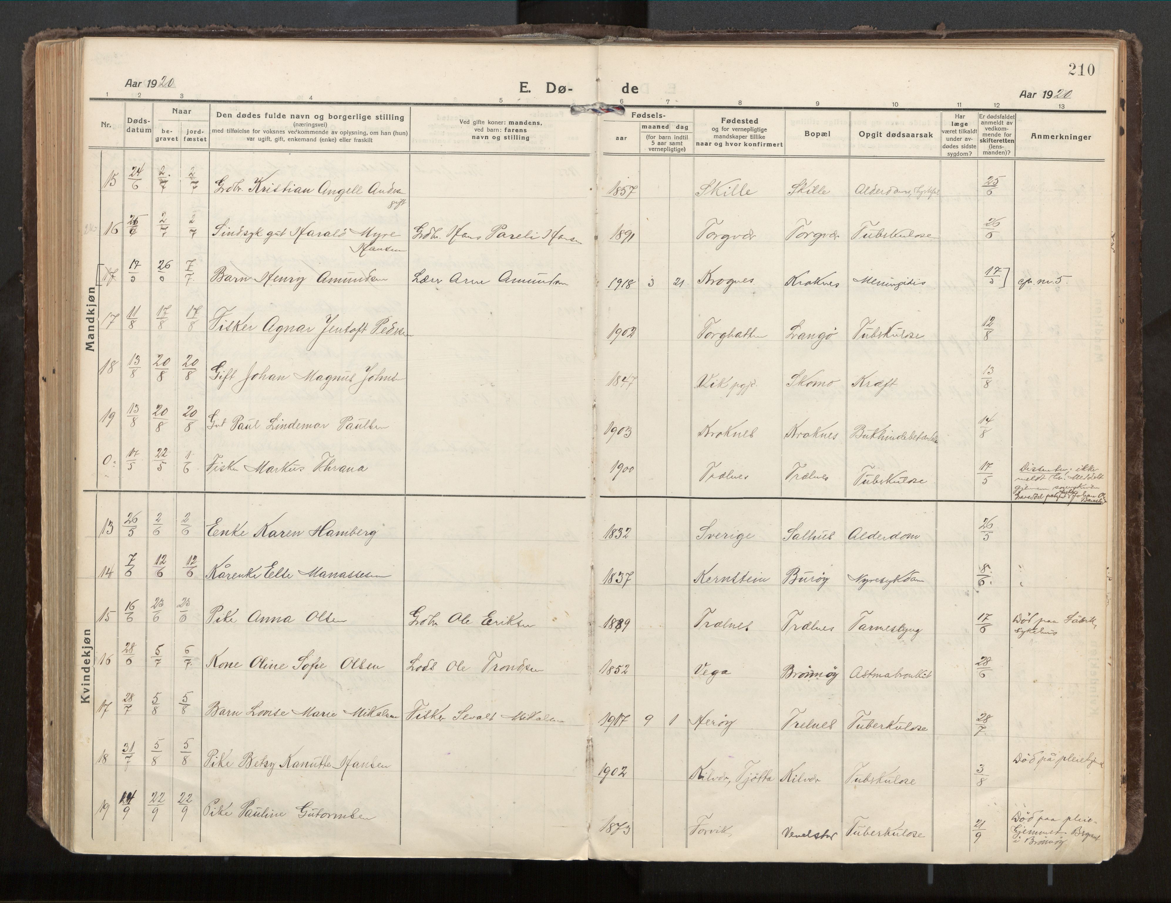 Ministerialprotokoller, klokkerbøker og fødselsregistre - Nordland, AV/SAT-A-1459/813/L0207a: Parish register (official) no. 813A18, 1919-1927, p. 210