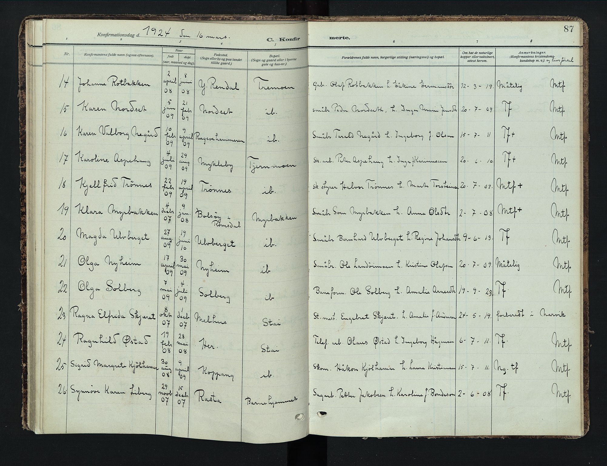 Stor-Elvdal prestekontor, SAH/PREST-052/H/Ha/Haa/L0005: Parish register (official) no. 5, 1908-1924, p. 87