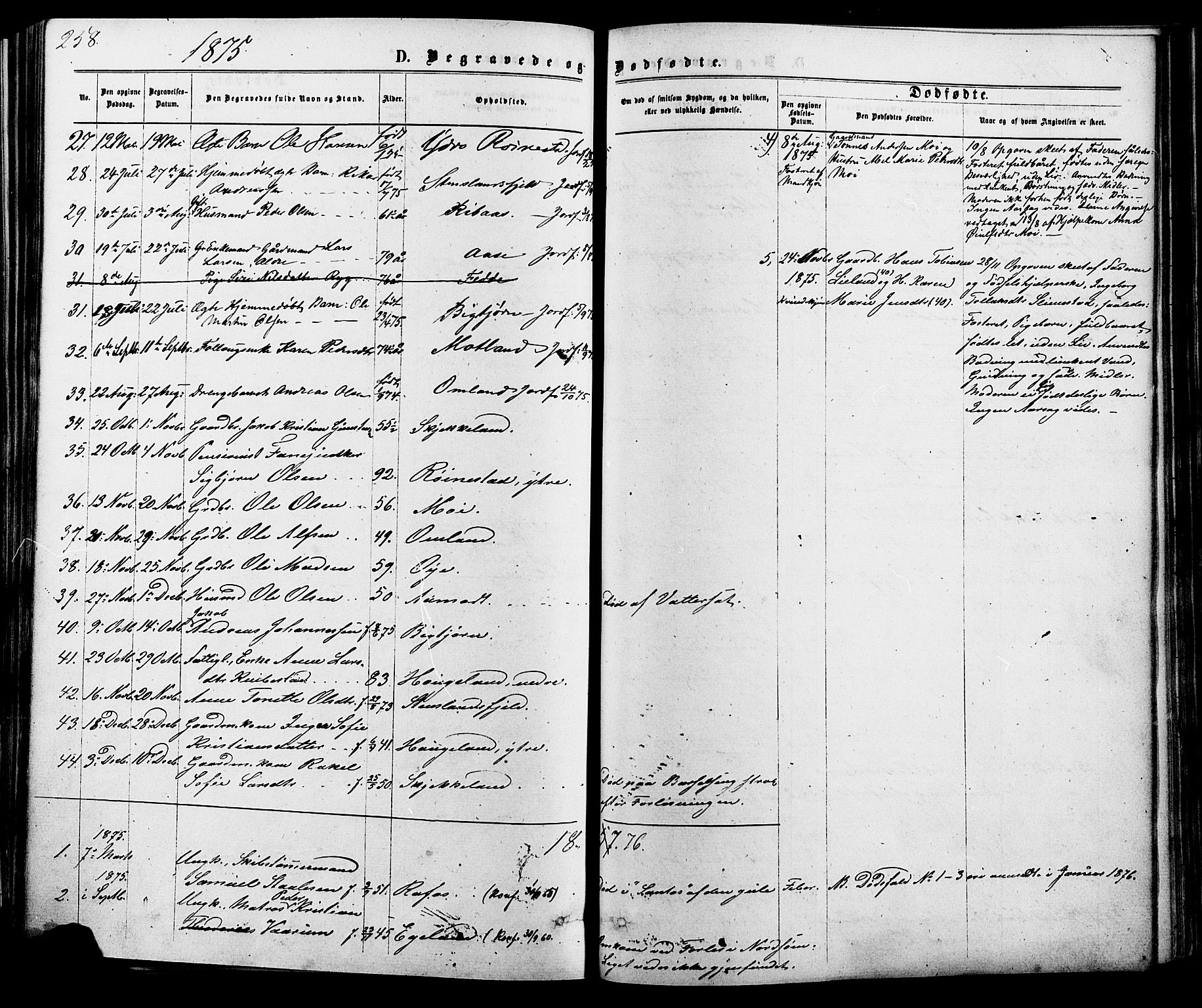 Kvinesdal sokneprestkontor, AV/SAK-1111-0026/F/Fa/Fab/L0007: Parish register (official) no. A 7, 1870-1885, p. 258