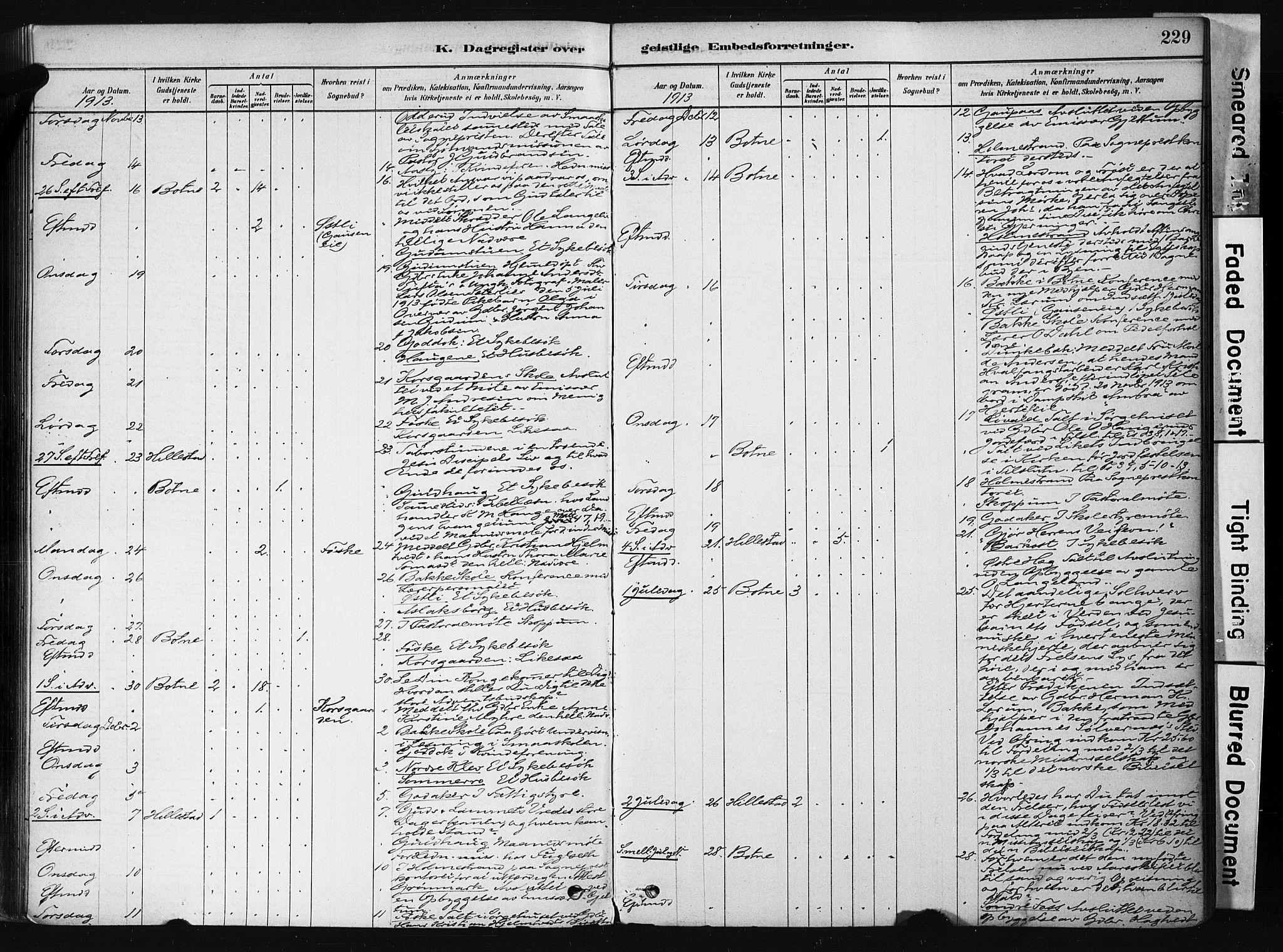 Botne kirkebøker, AV/SAKO-A-340/F/Fb/L0001: Parish register (official) no. II 1, 1878-1902, p. 229