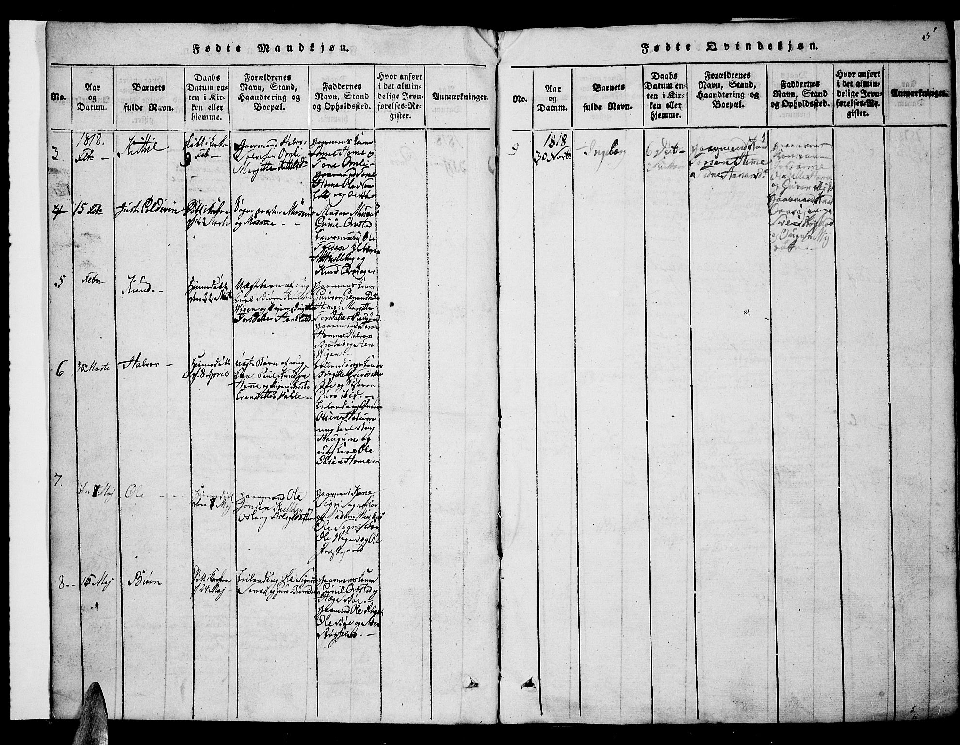 Valle sokneprestkontor, AV/SAK-1111-0044/F/Fb/Fbc/L0001: Parish register (copy) no. B 1 /1, 1816-1829, p. 5