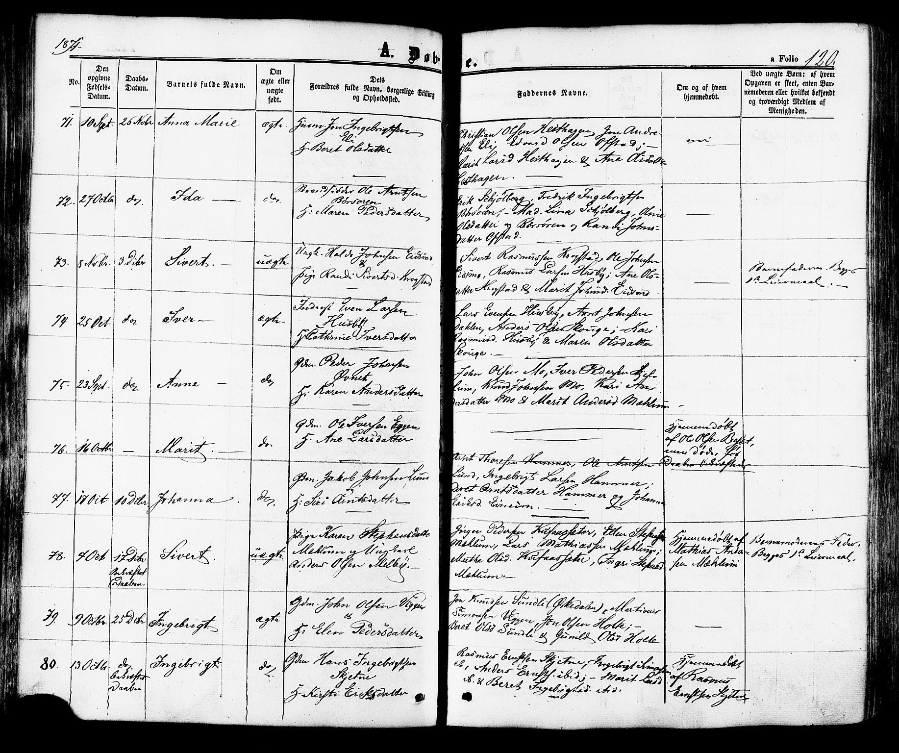 Ministerialprotokoller, klokkerbøker og fødselsregistre - Sør-Trøndelag, SAT/A-1456/665/L0772: Parish register (official) no. 665A07, 1856-1878, p. 120