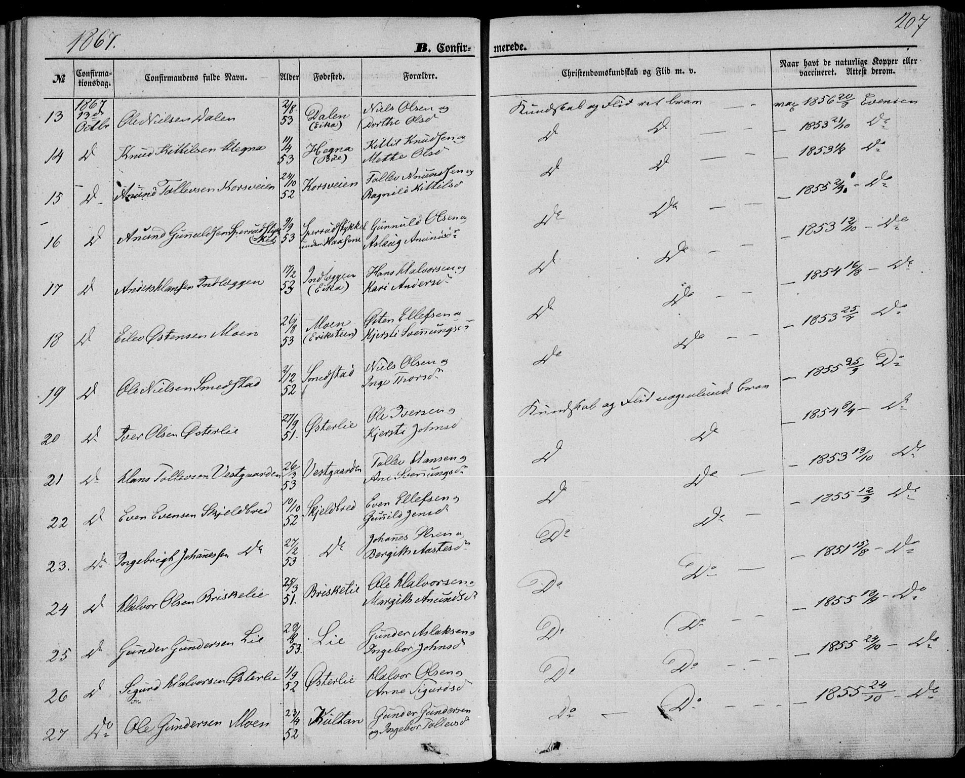Bø kirkebøker, SAKO/A-257/F/Fa/L0009: Parish register (official) no. 9, 1862-1879, p. 207
