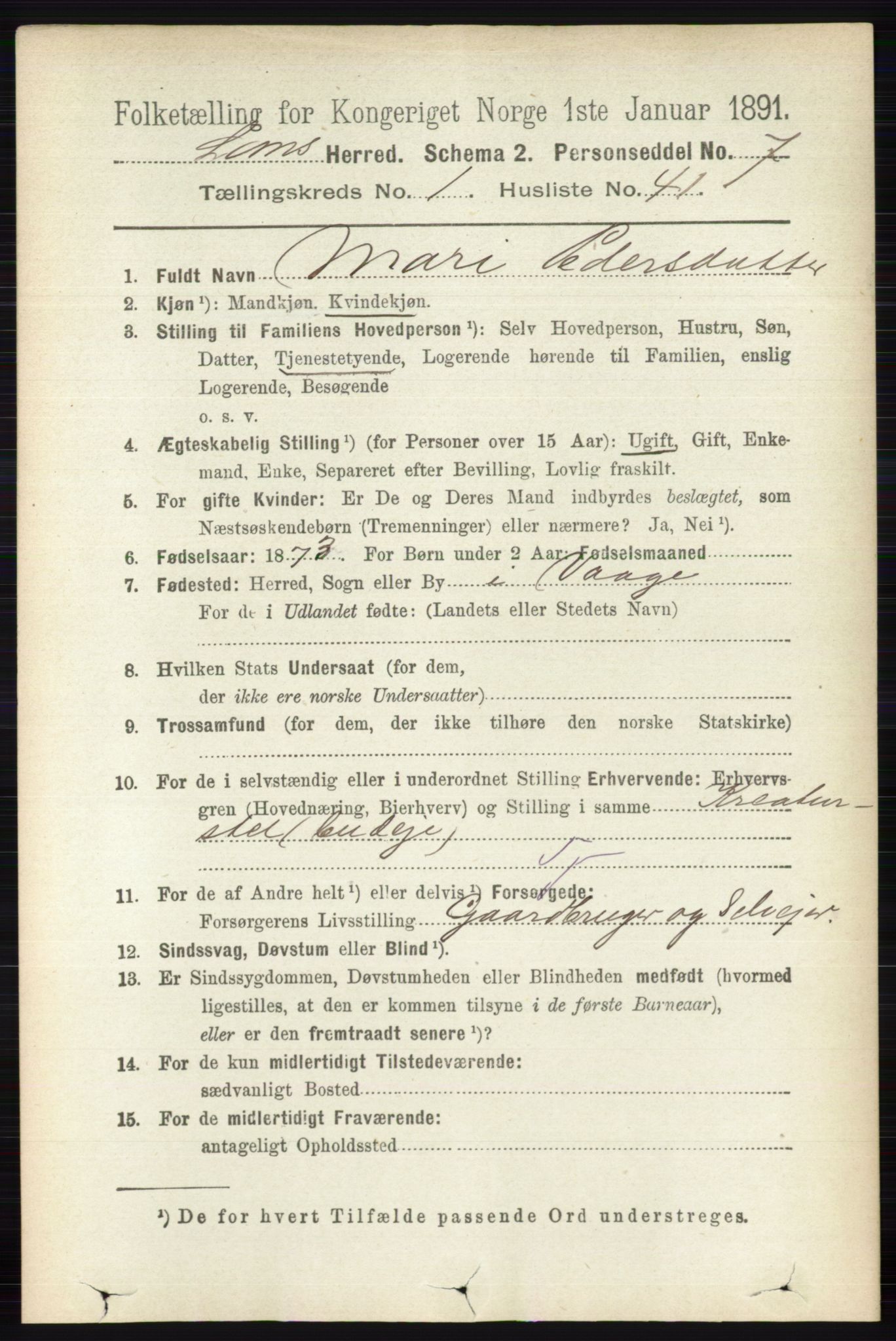 RA, 1891 census for 0514 Lom, 1891, p. 360