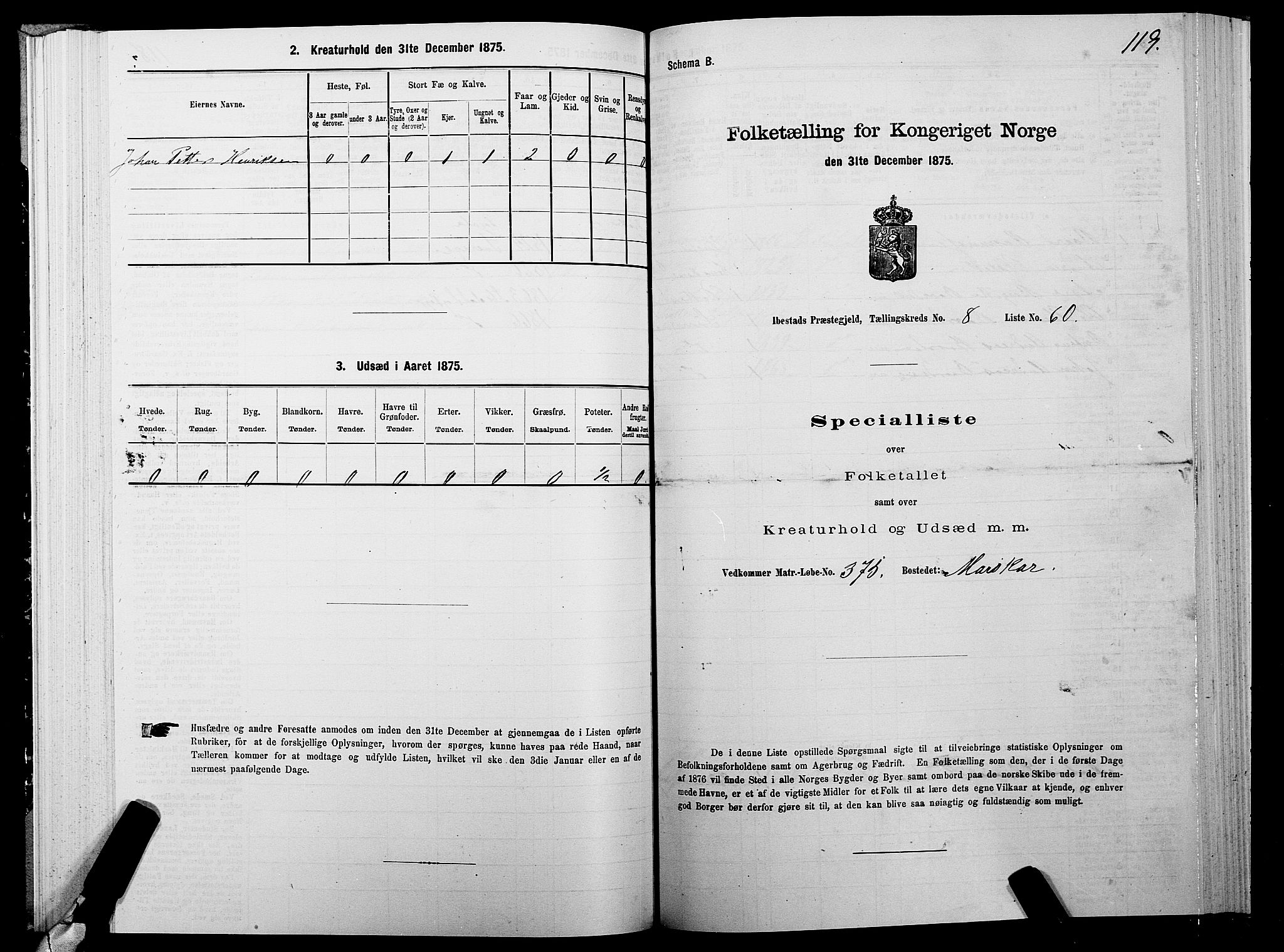 SATØ, 1875 census for 1917P Ibestad, 1875, p. 5119