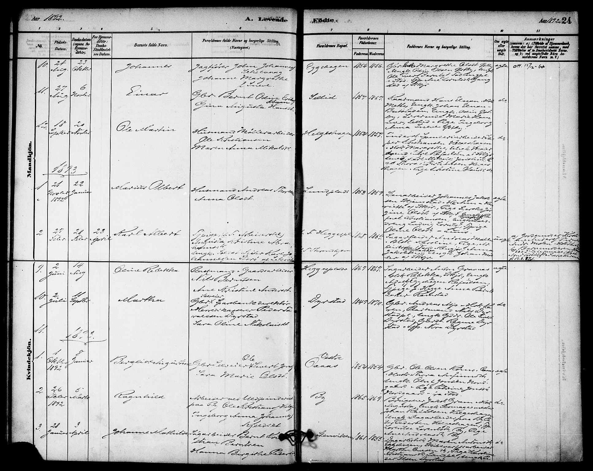 Ministerialprotokoller, klokkerbøker og fødselsregistre - Nord-Trøndelag, SAT/A-1458/740/L0378: Parish register (official) no. 740A01, 1881-1895, p. 24