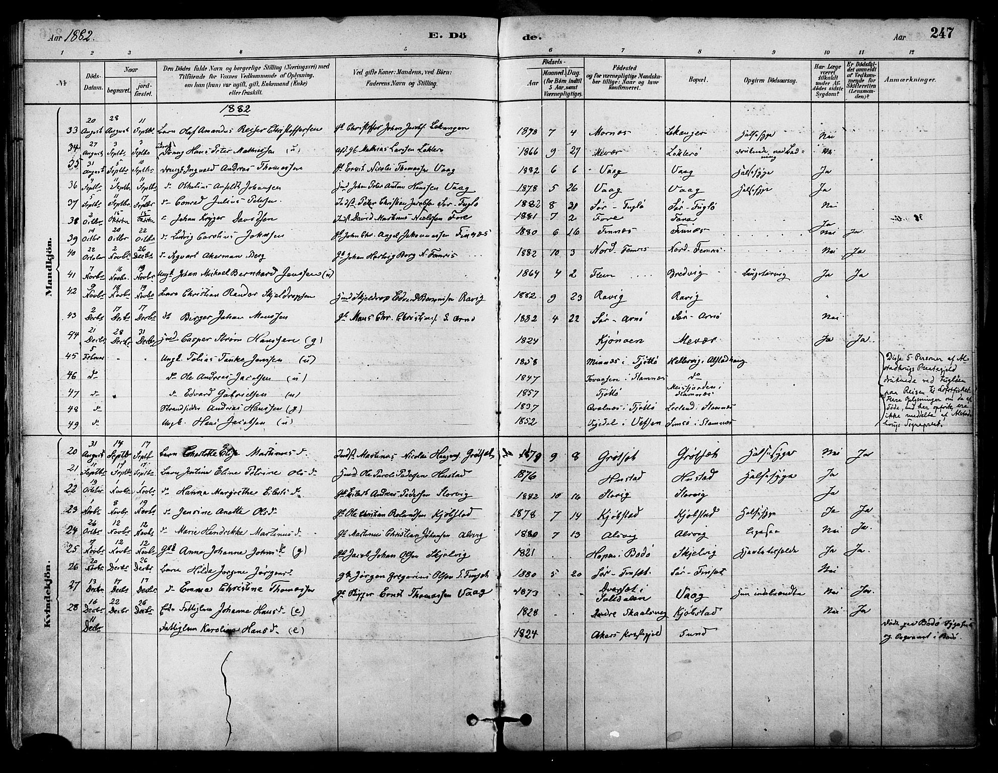 Ministerialprotokoller, klokkerbøker og fødselsregistre - Nordland, AV/SAT-A-1459/805/L0099: Parish register (official) no. 805A06, 1880-1891, p. 247