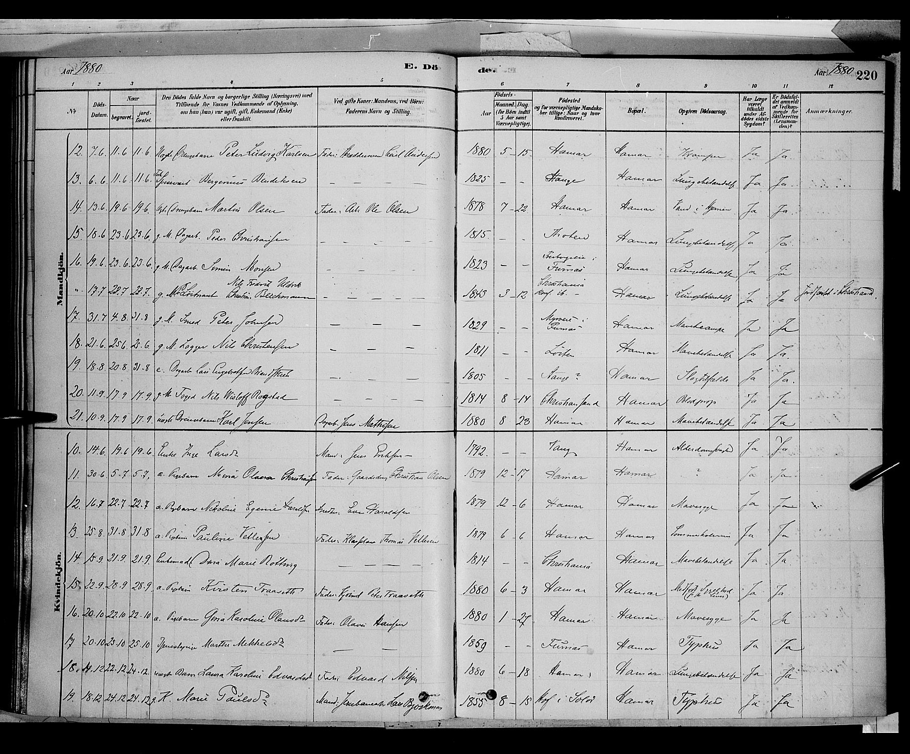 Vang prestekontor, Hedmark, AV/SAH-PREST-008/H/Ha/Haa/L0016: Parish register (official) no. 16, 1878-1889, p. 220