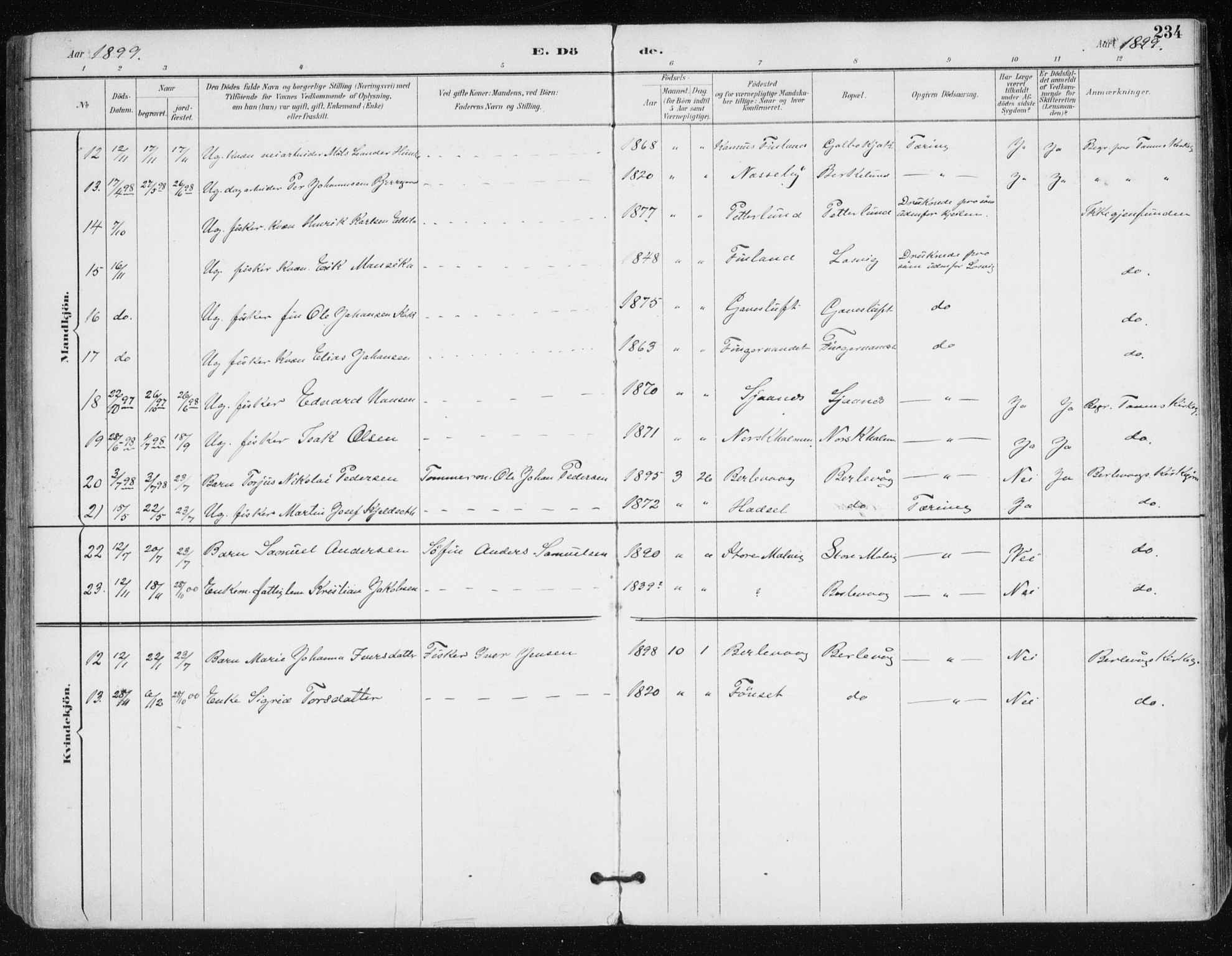 Tana sokneprestkontor, AV/SATØ-S-1334/H/Ha/L0005kirke: Parish register (official) no. 5, 1891-1903, p. 234