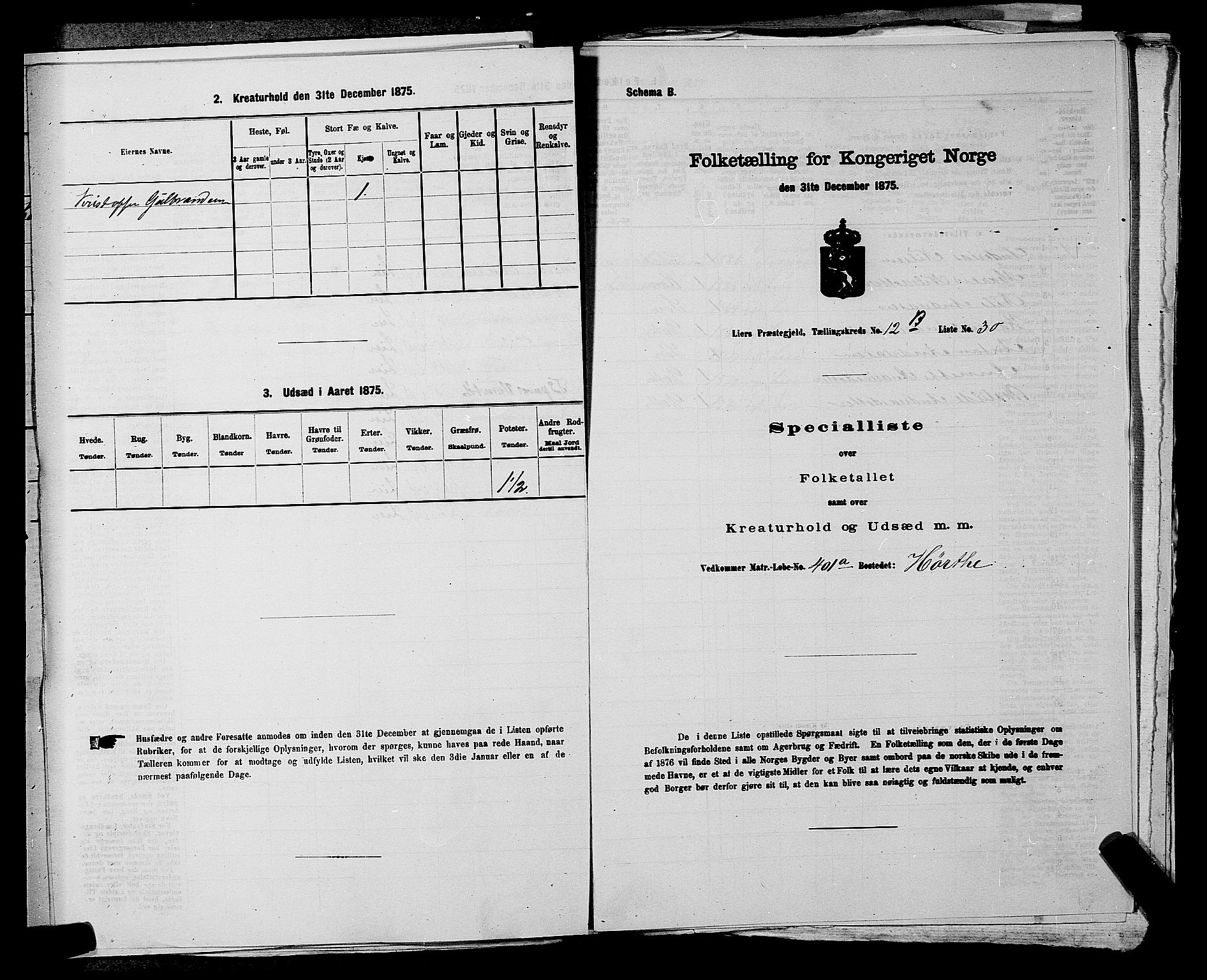 SAKO, 1875 census for 0626P Lier, 1875, p. 2289