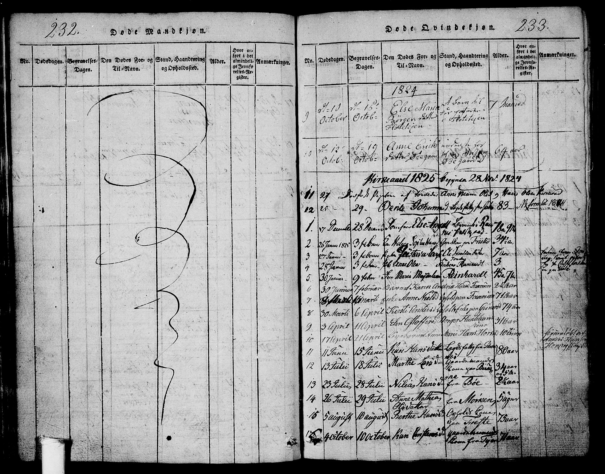 Ramnes kirkebøker, SAKO/A-314/G/Ga/L0001: Parish register (copy) no. I 1, 1813-1847, p. 232-233