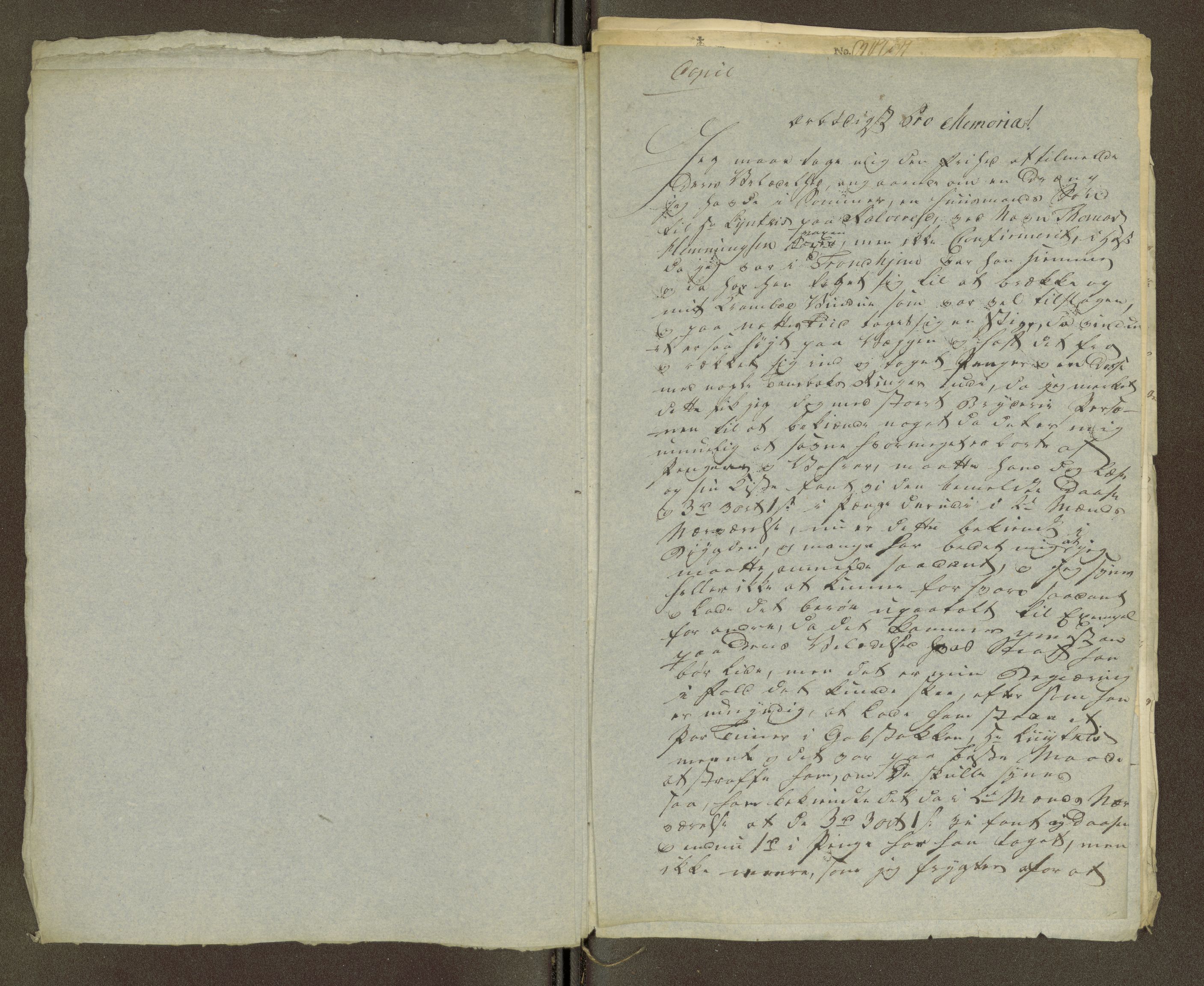 Namdal sorenskriveri, AV/SAT-A-4133/1/1/1O/1Oa/L0007: Sivile og offentlige saker, 1798, p. 435