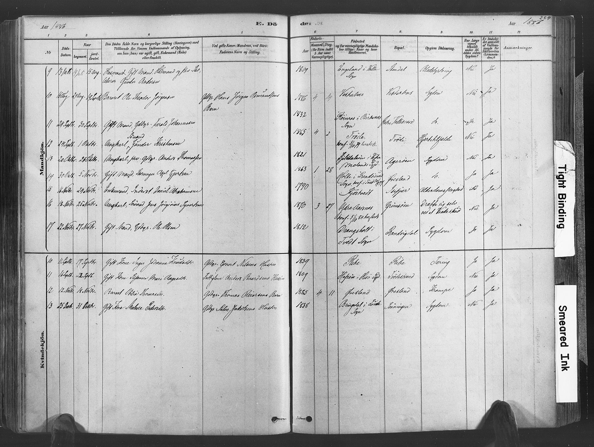 Høvåg sokneprestkontor, SAK/1111-0025/F/Fa/L0005: Parish register (official) no. A 5, 1878-1893, p. 284