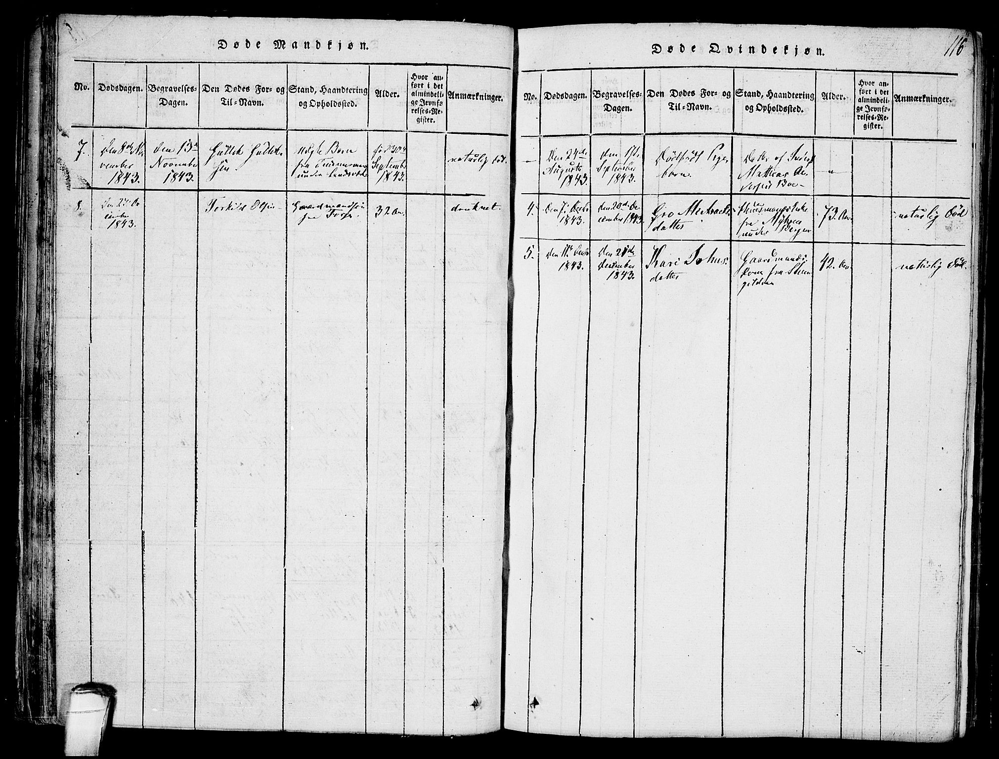 Hjartdal kirkebøker, AV/SAKO-A-270/F/Fb/L0001: Parish register (official) no. II 1, 1815-1843, p. 116