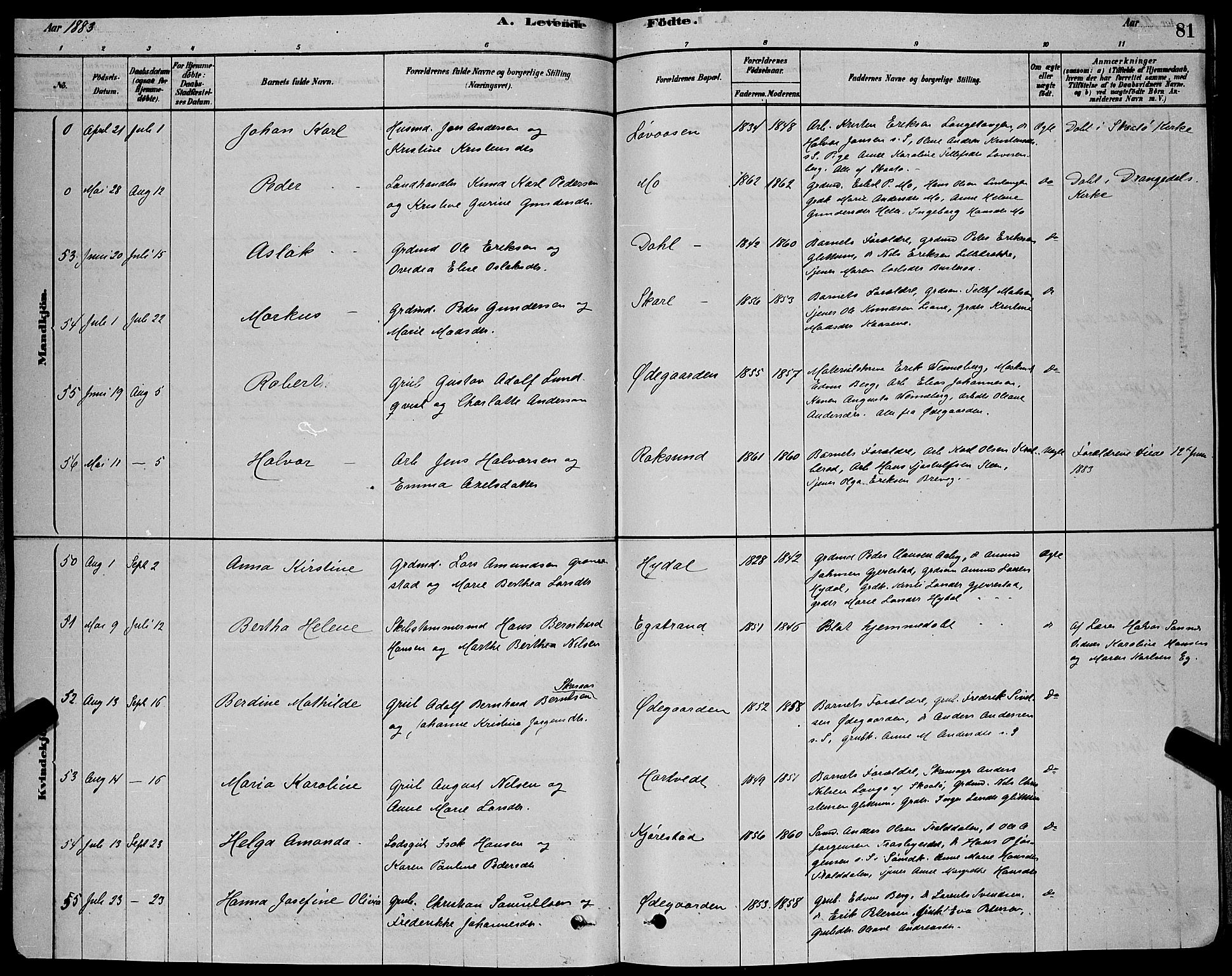 Bamble kirkebøker, AV/SAKO-A-253/G/Ga/L0008: Parish register (copy) no. I 8, 1878-1888, p. 81