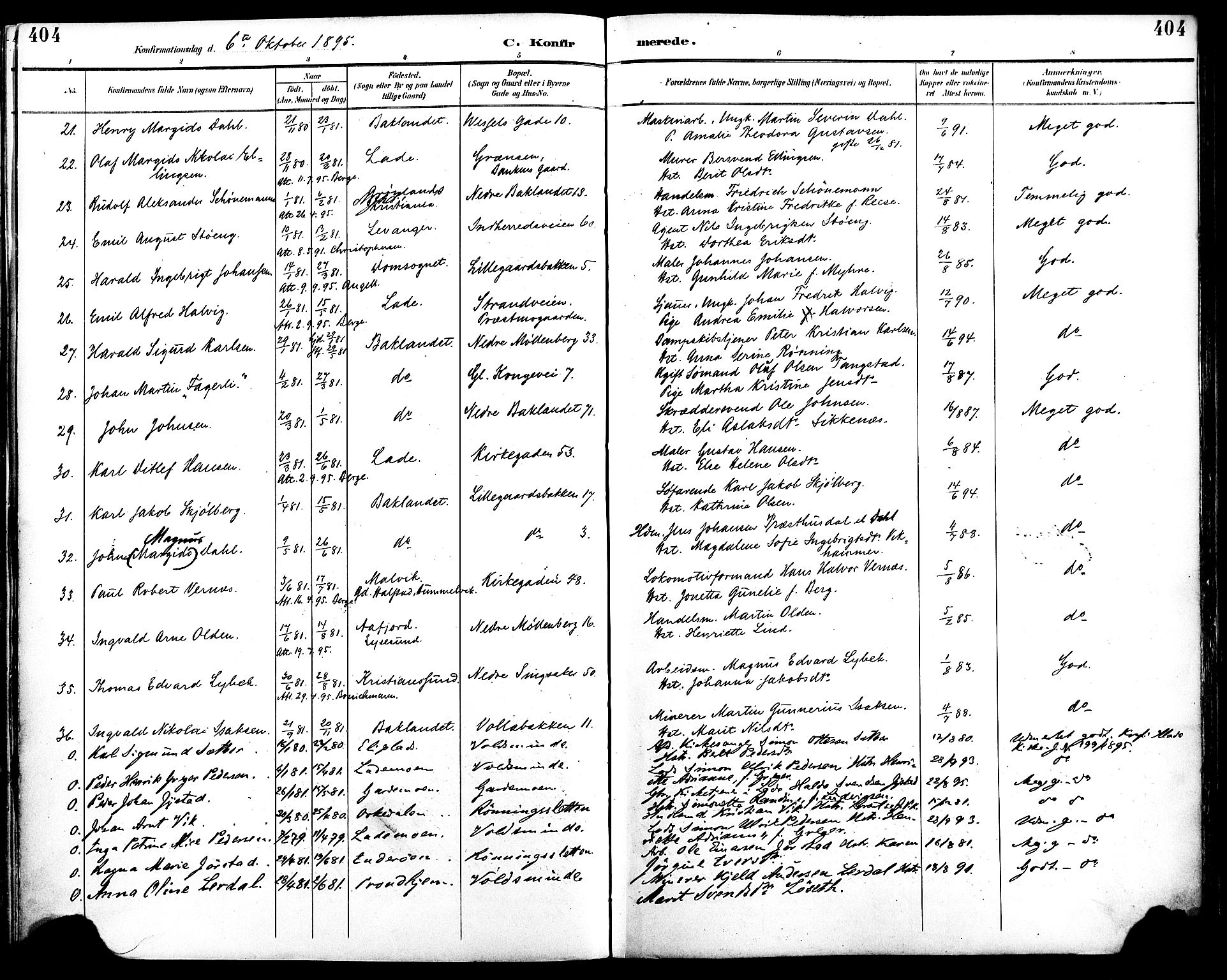 Ministerialprotokoller, klokkerbøker og fødselsregistre - Sør-Trøndelag, SAT/A-1456/604/L0197: Parish register (official) no. 604A18, 1893-1900, p. 404