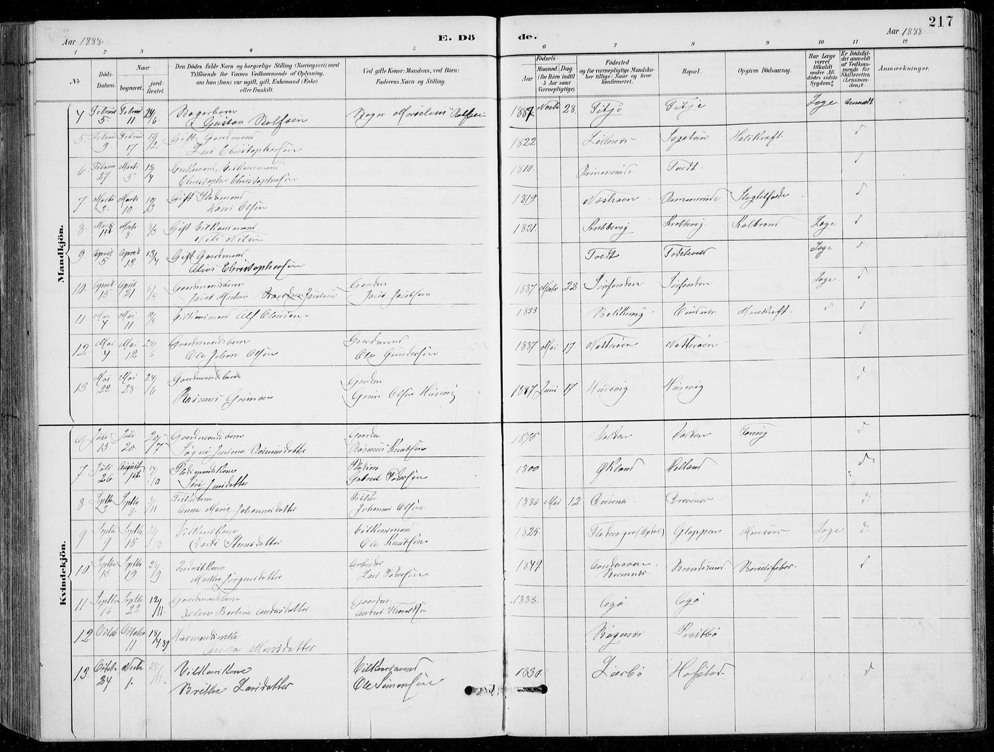 Fitjar sokneprestembete, AV/SAB-A-99926: Parish register (copy) no. A 2, 1887-1906, p. 217