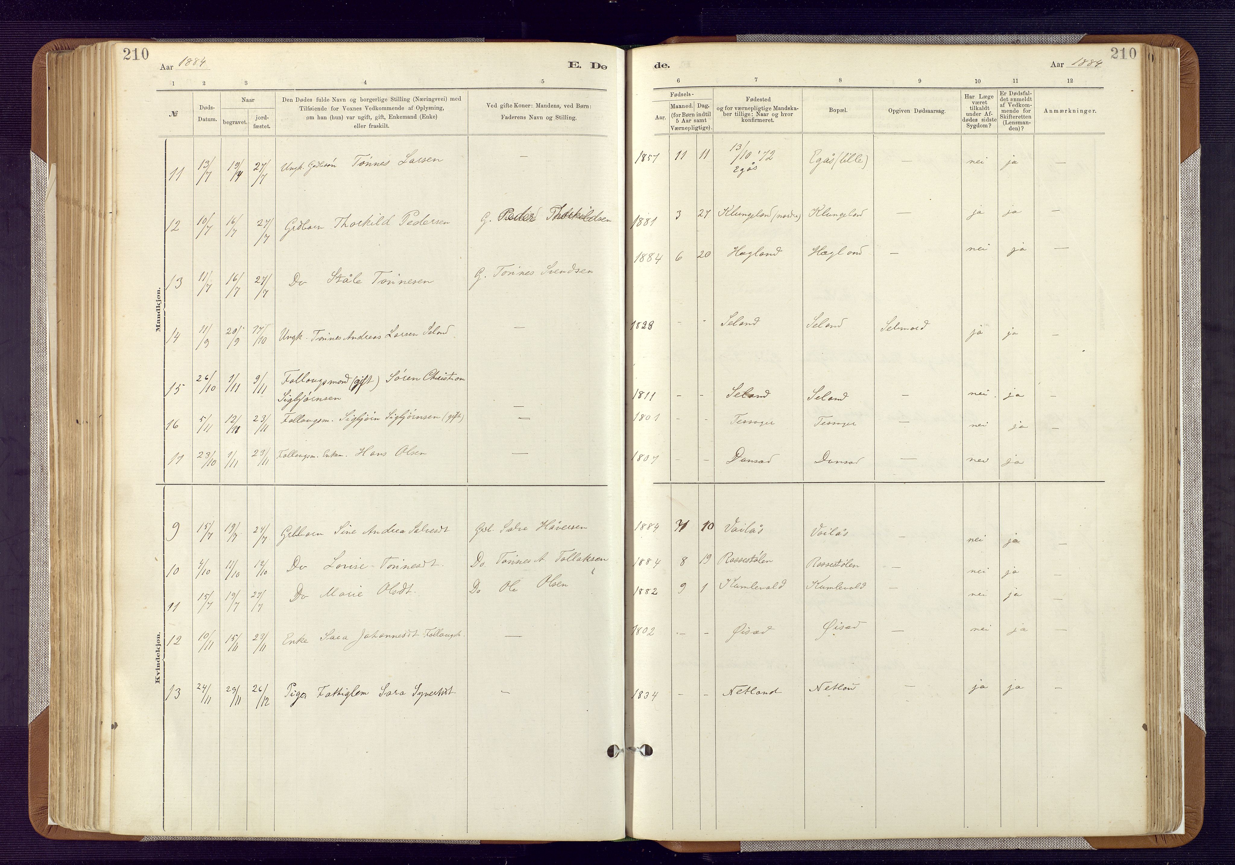 Bakke sokneprestkontor, SAK/1111-0002/F/Fa/Fab/L0003: Parish register (official) no. A 3, 1884-1921, p. 210