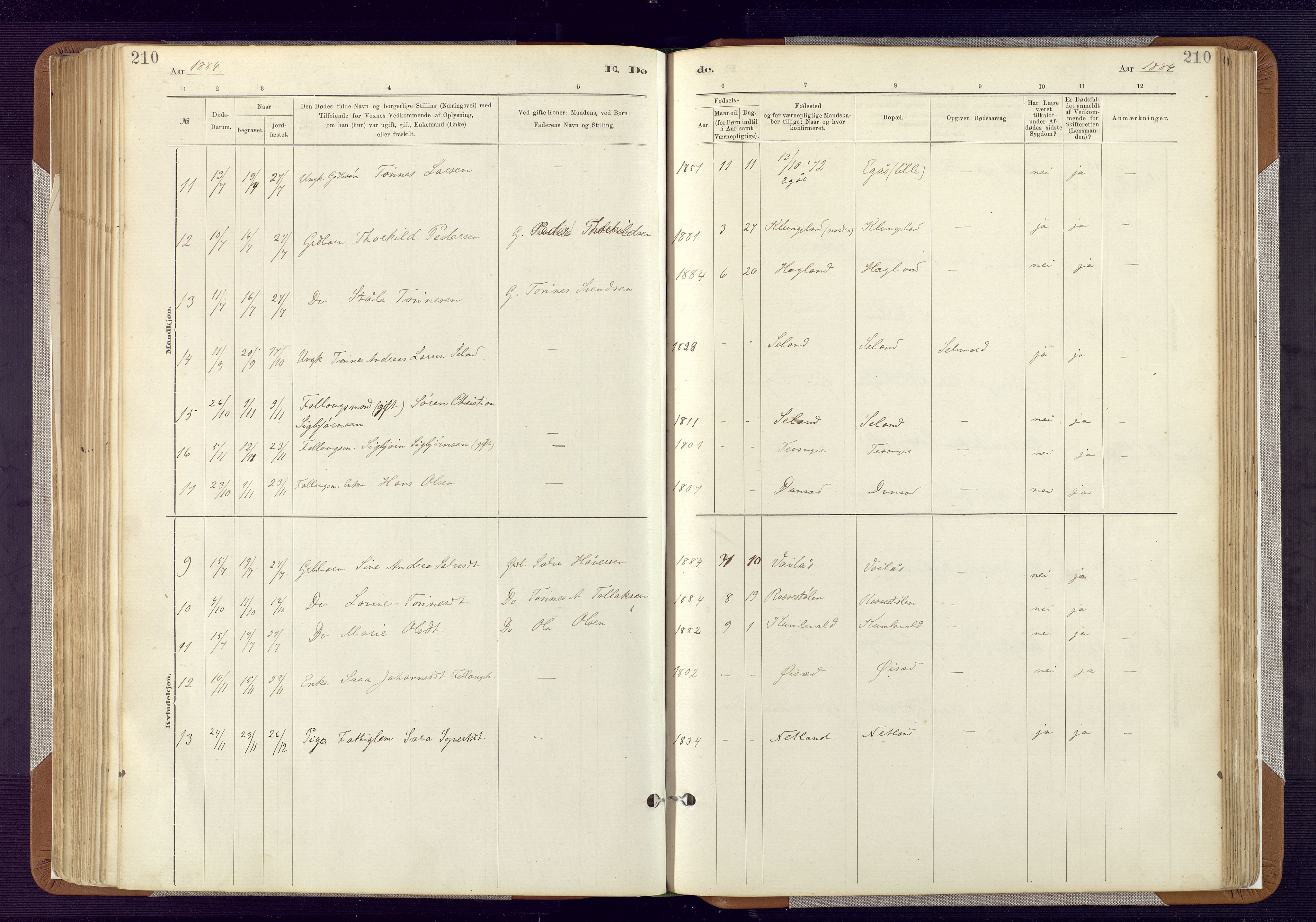 Bakke sokneprestkontor, AV/SAK-1111-0002/F/Fa/Fab/L0003: Parish register (official) no. A 3, 1884-1921, p. 210