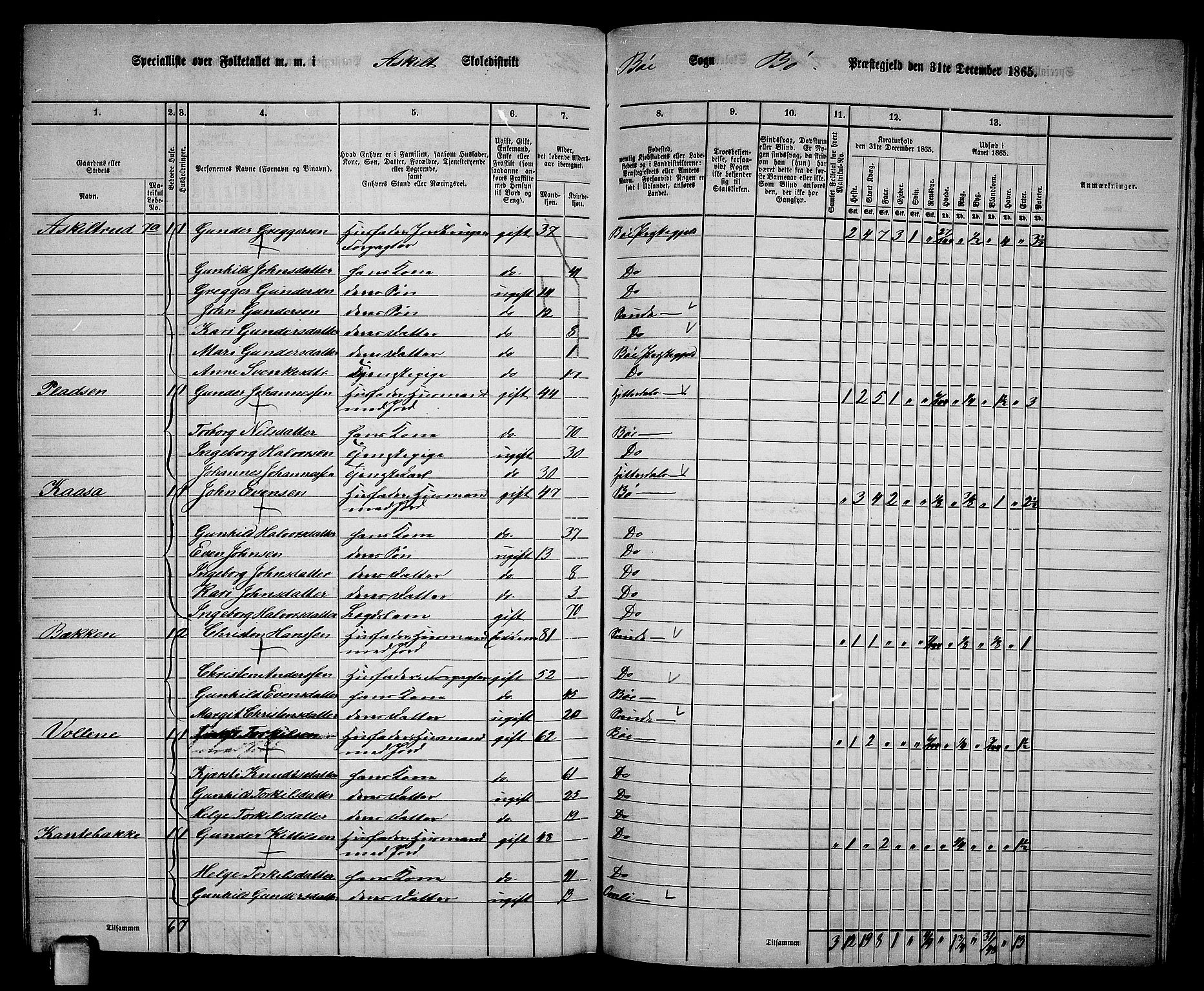 RA, 1865 census for Bø, 1865, p. 182