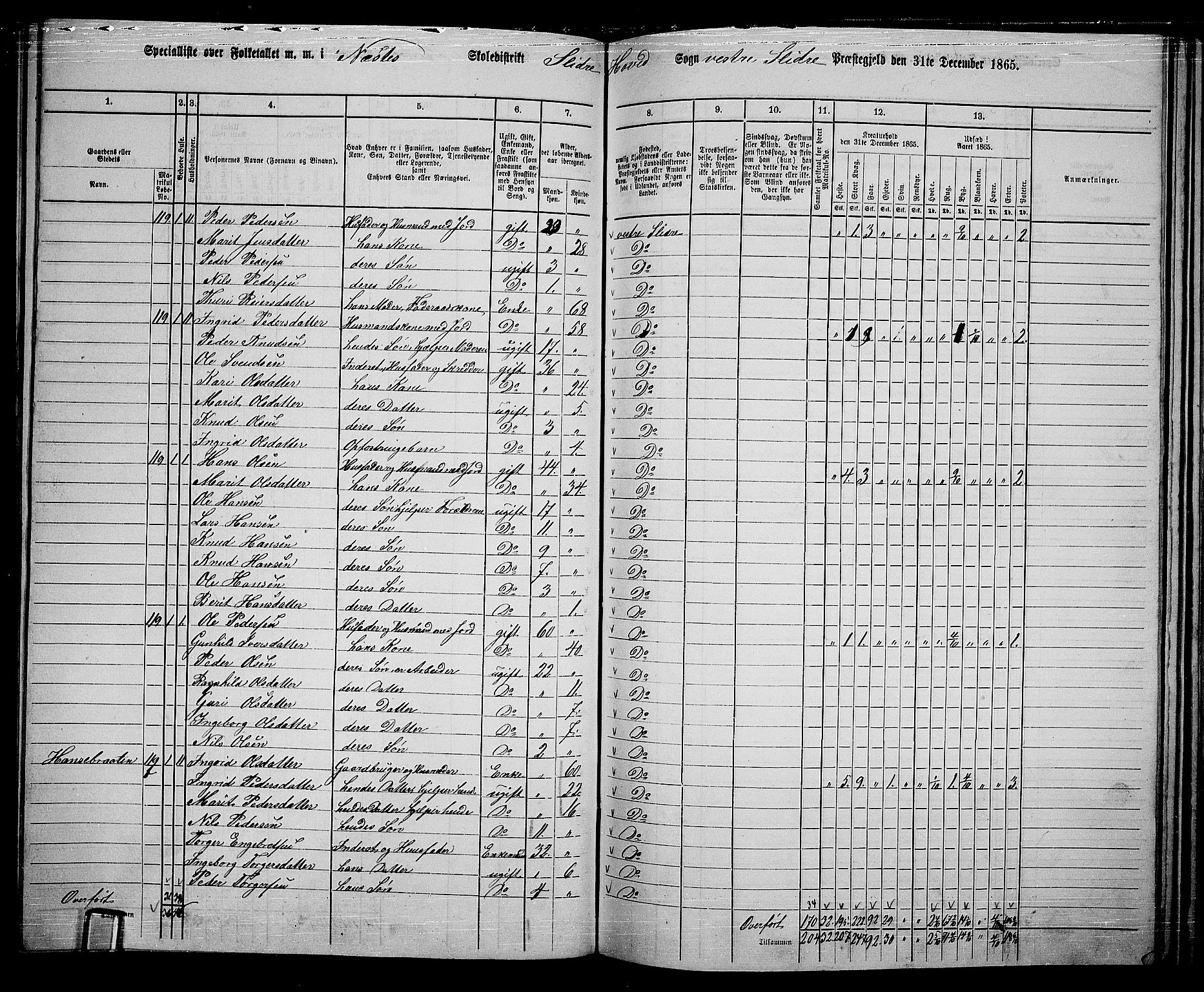 RA, 1865 census for Vestre Slidre, 1865, p. 85