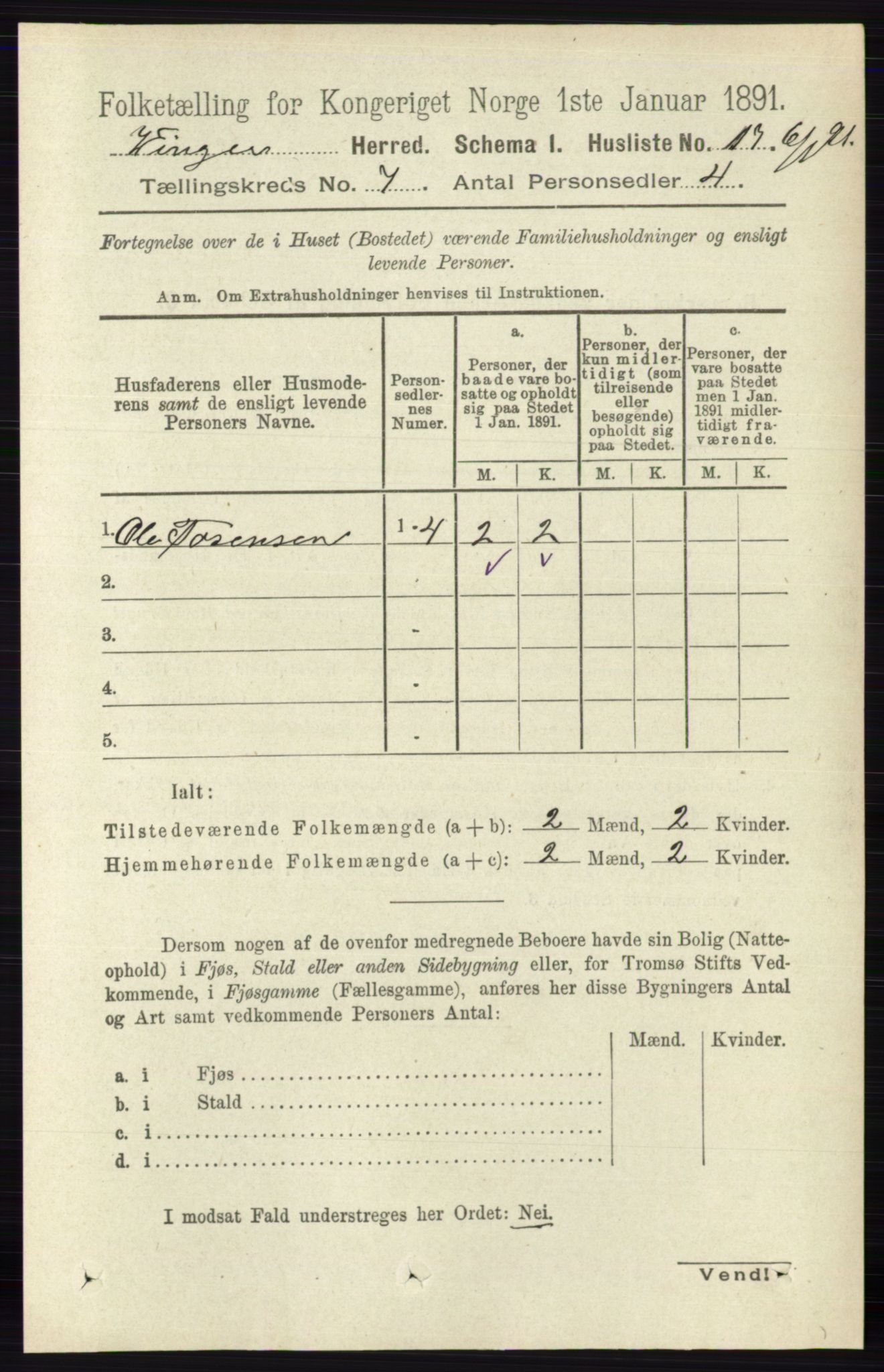 RA, 1891 census for 0421 Vinger, 1891, p. 3191