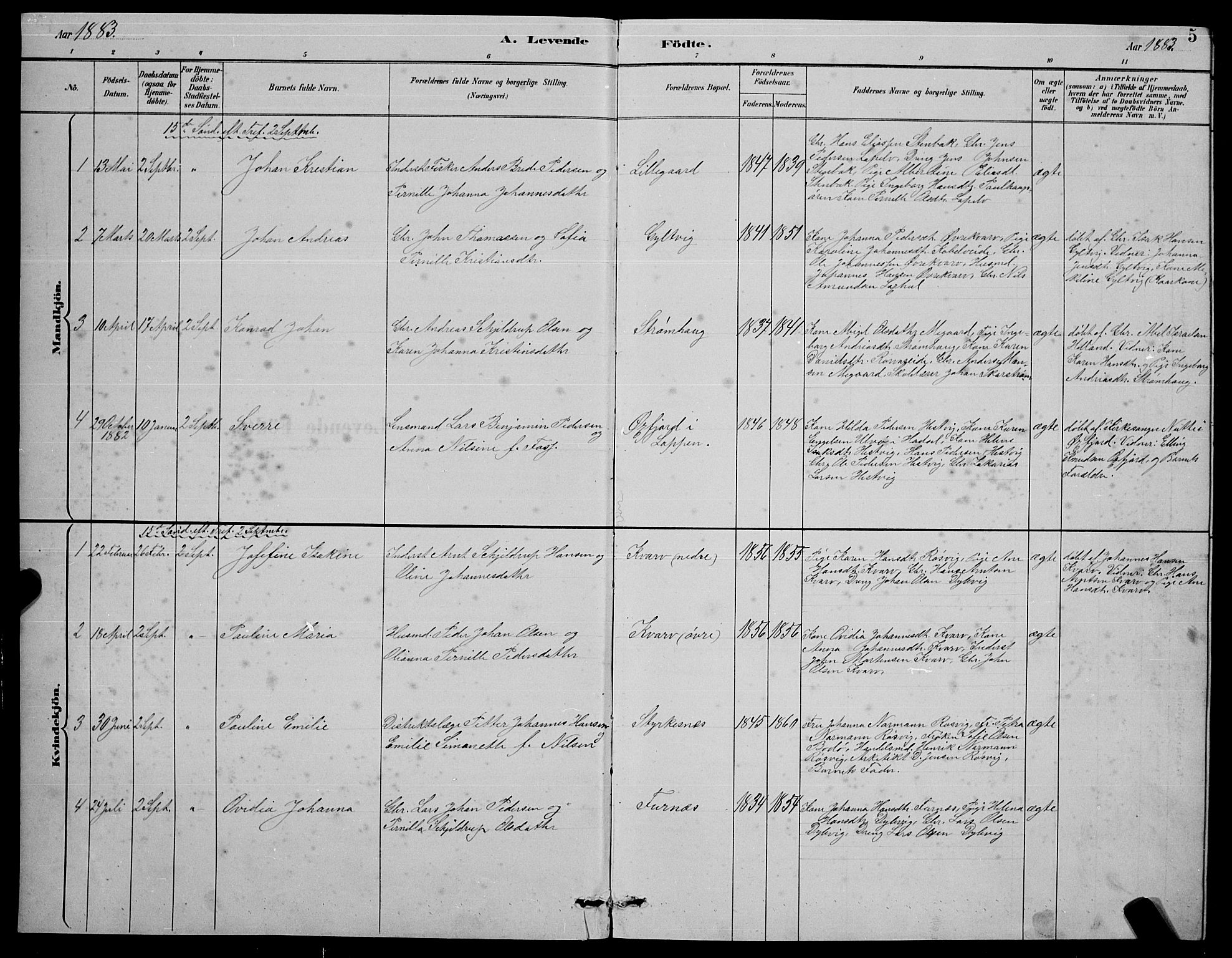 Ministerialprotokoller, klokkerbøker og fødselsregistre - Nordland, AV/SAT-A-1459/854/L0785: Parish register (copy) no. 854C01, 1883-1891, p. 5