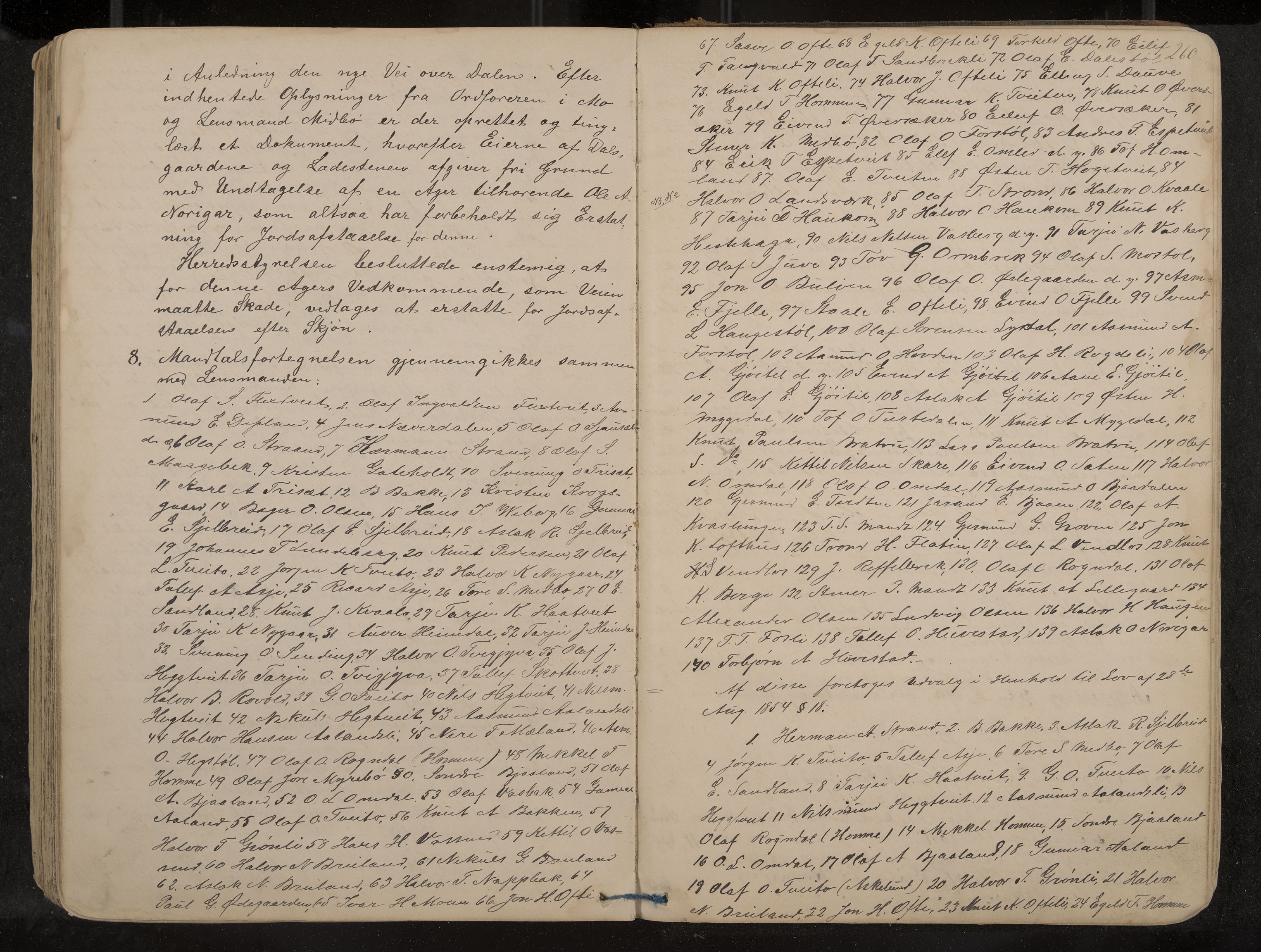 Lårdal formannskap og sentraladministrasjon, IKAK/0833021/A/L0002: Møtebok, 1865-1893, p. 260