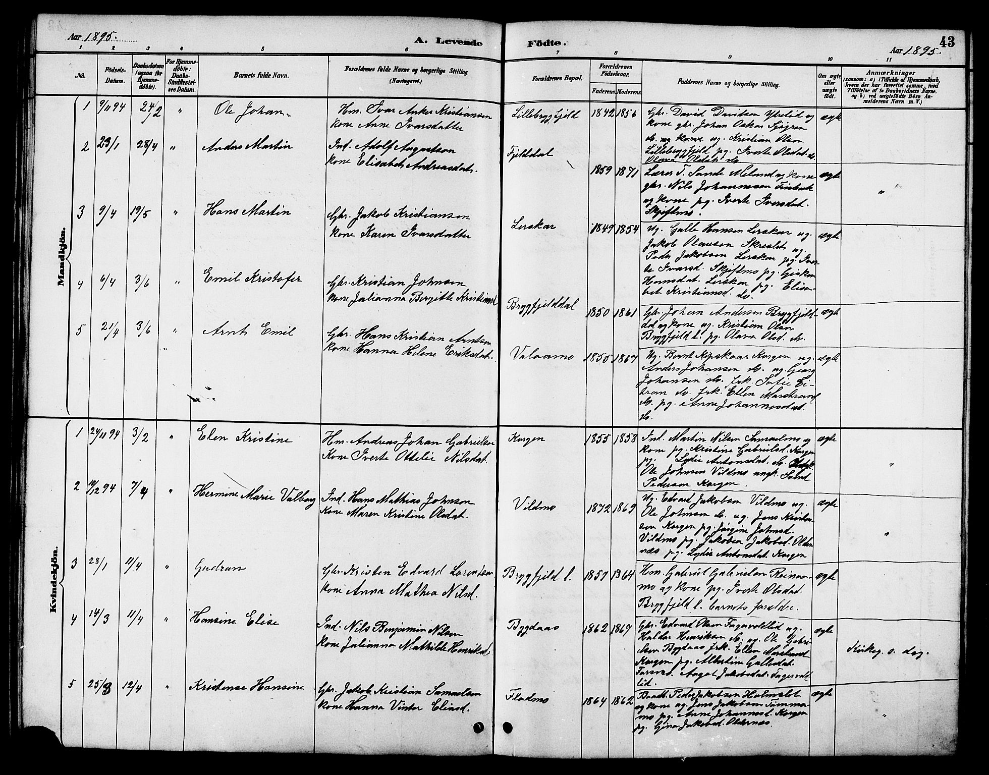 Ministerialprotokoller, klokkerbøker og fødselsregistre - Nordland, AV/SAT-A-1459/826/L0383: Parish register (copy) no. 826C03, 1887-1896, p. 43