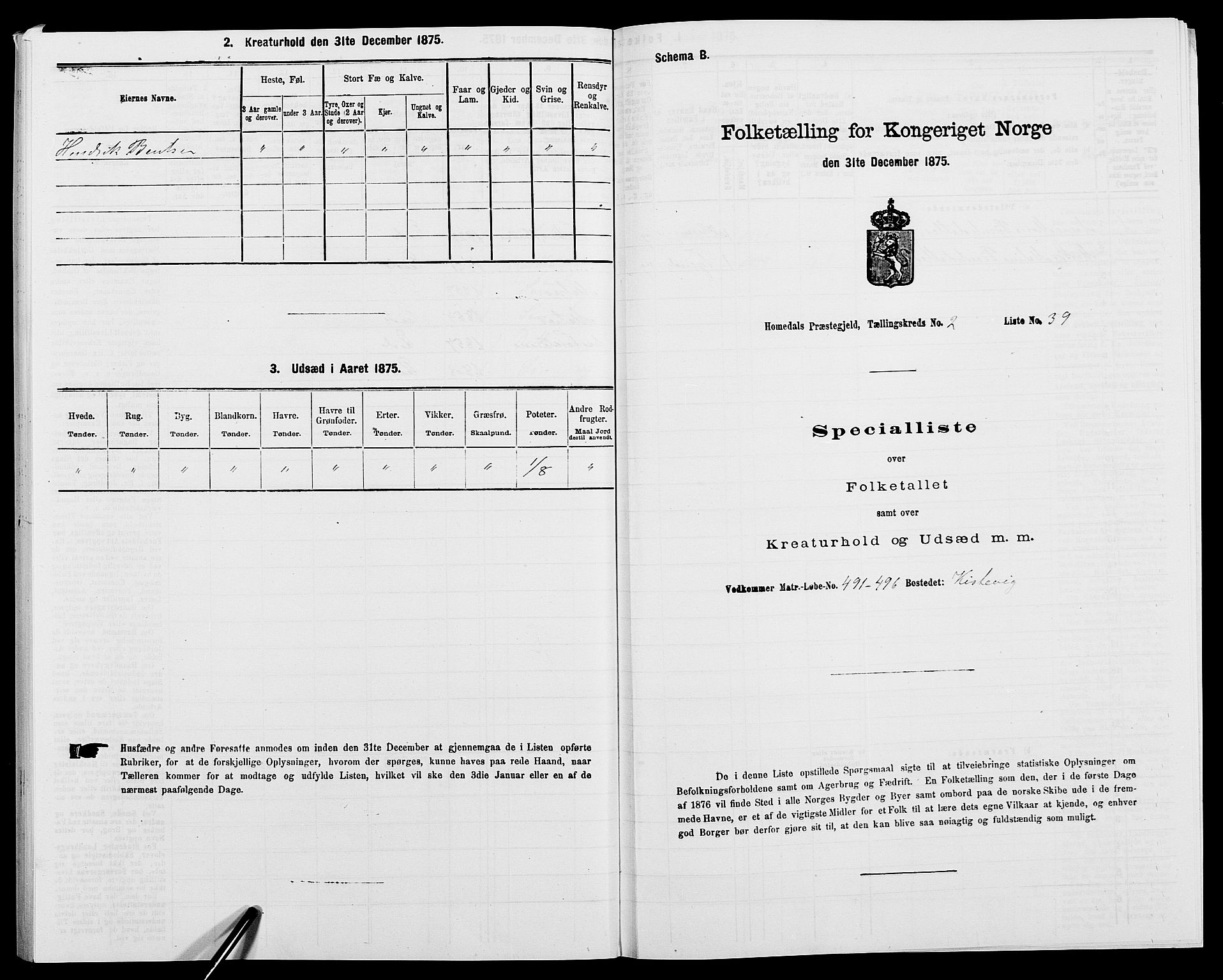 SAK, 1875 census for 0924P Homedal, 1875, p. 206