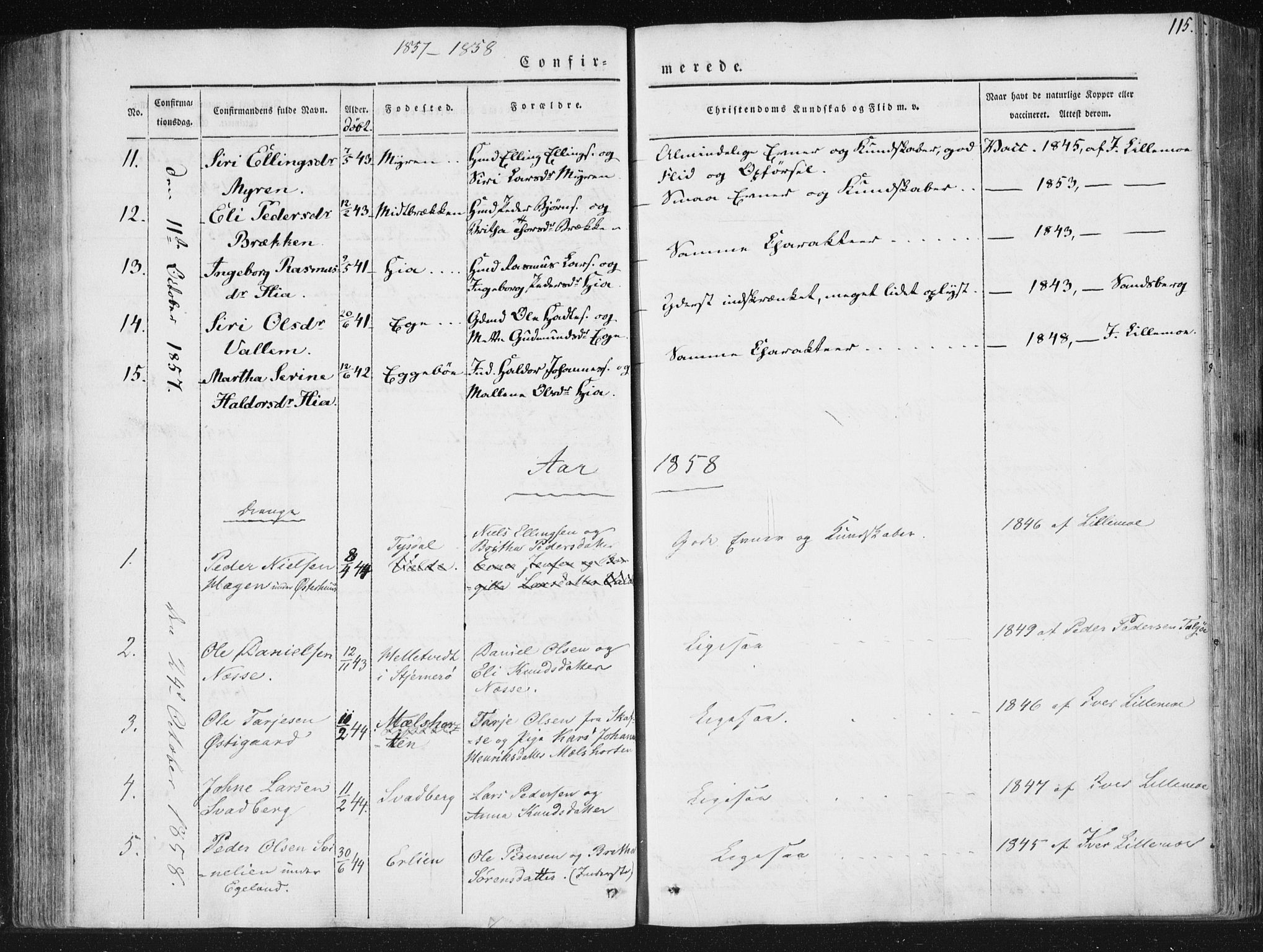 Hjelmeland sokneprestkontor, AV/SAST-A-101843/01/IV/L0008: Parish register (official) no. A 8, 1842-1861, p. 115